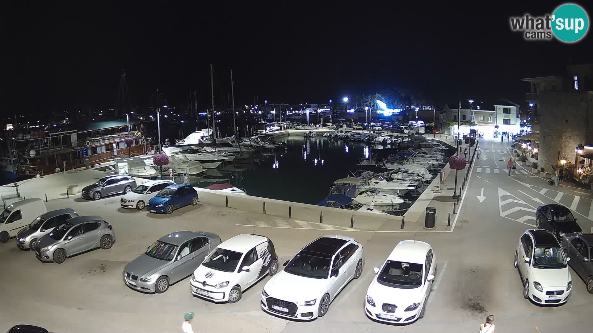 Novigrad | Porporela marina