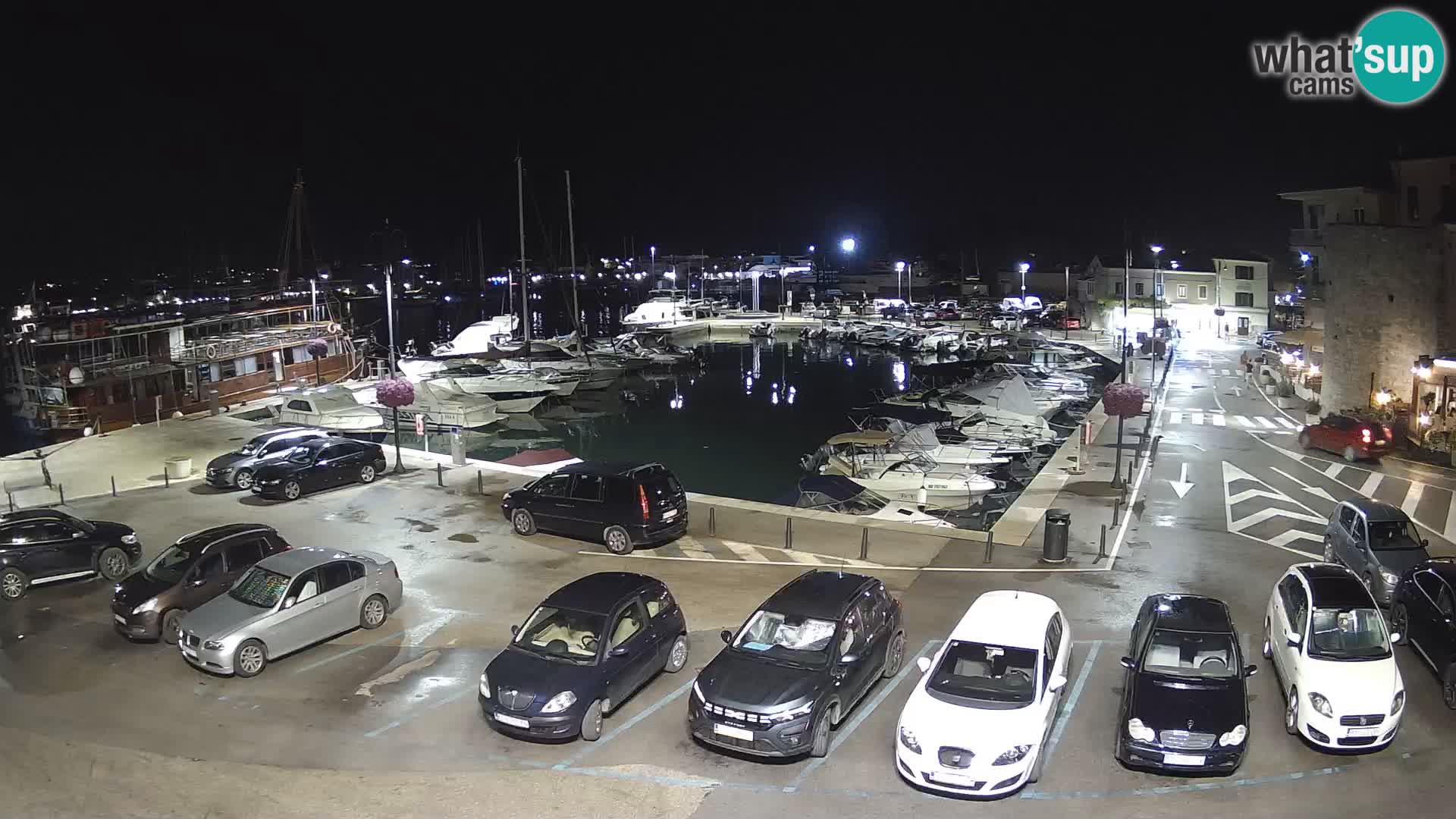 Novigrad | Porporela marina