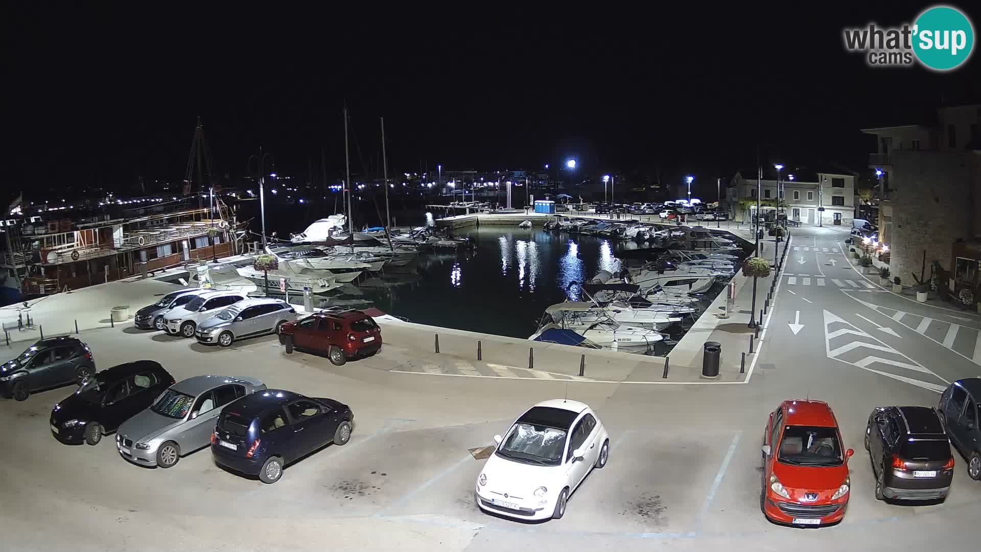 Novigrad | Porporela marina
