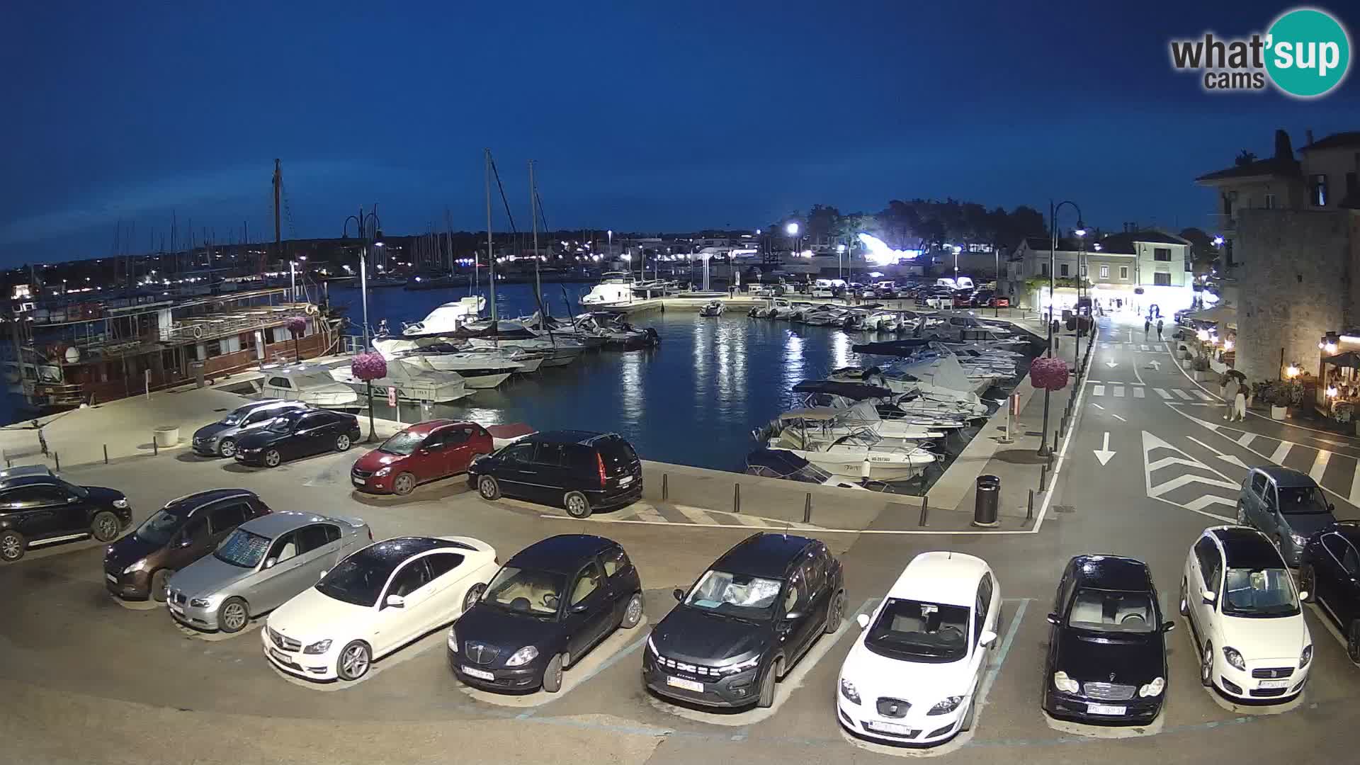 Novigrad | Porporela marina