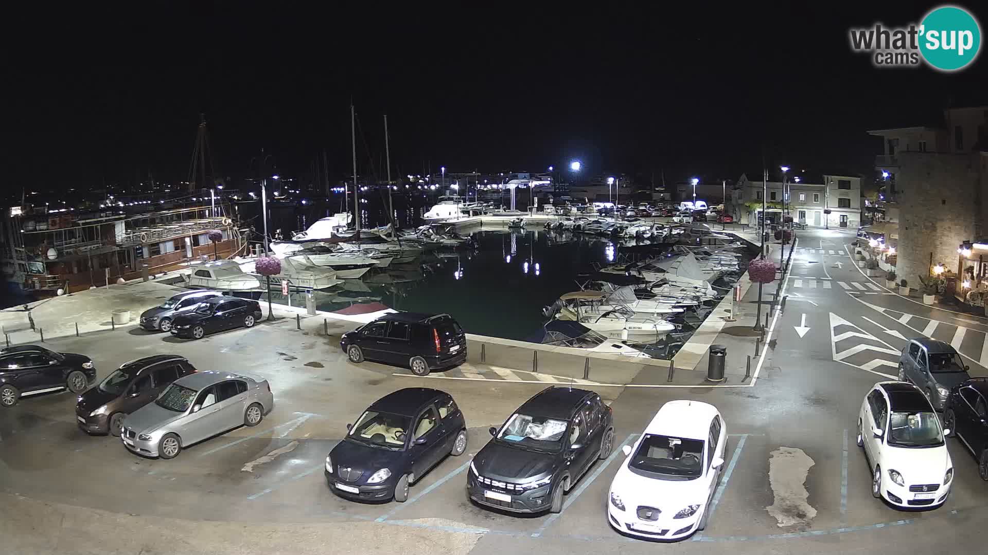 Novigrad | Porporela marina