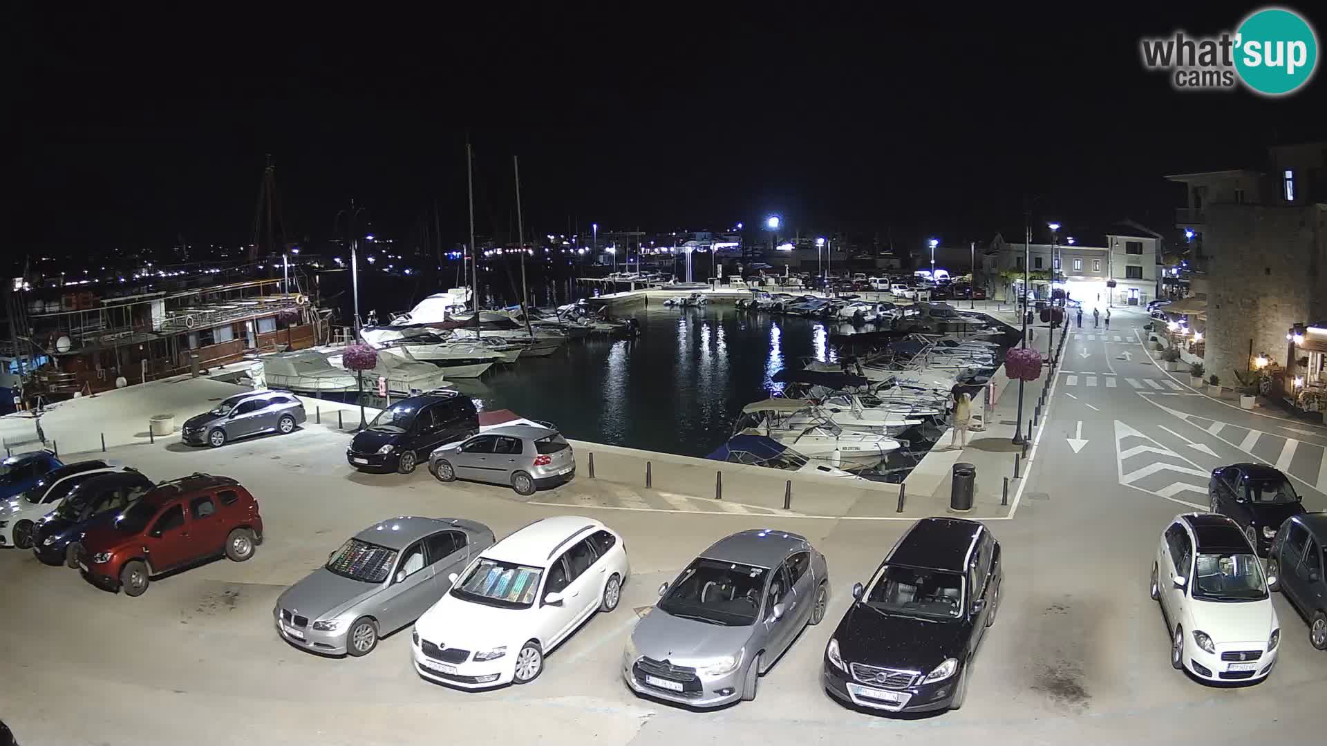 Novigrad | Porporela marina