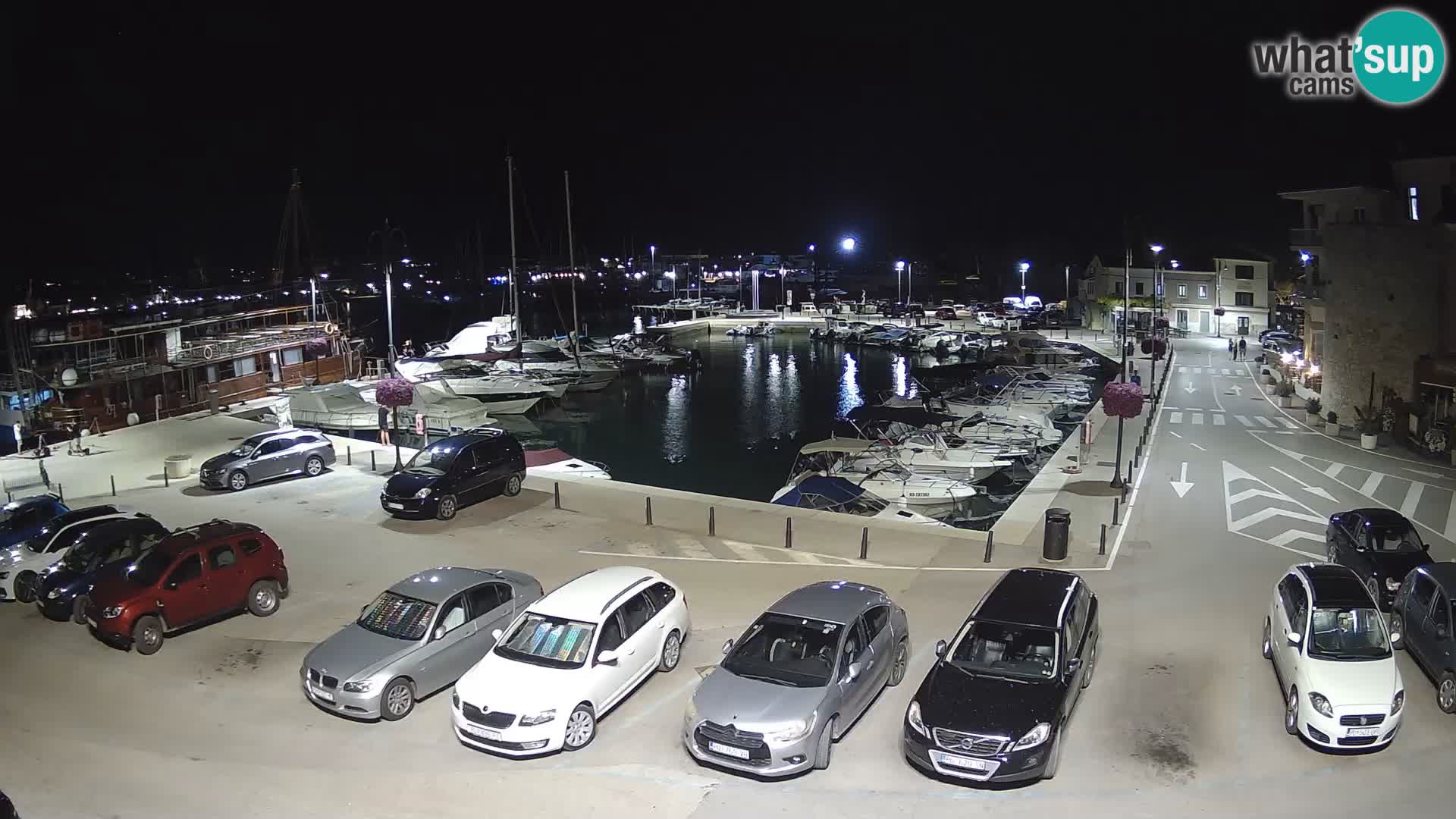 Novigrad | Porporela marina