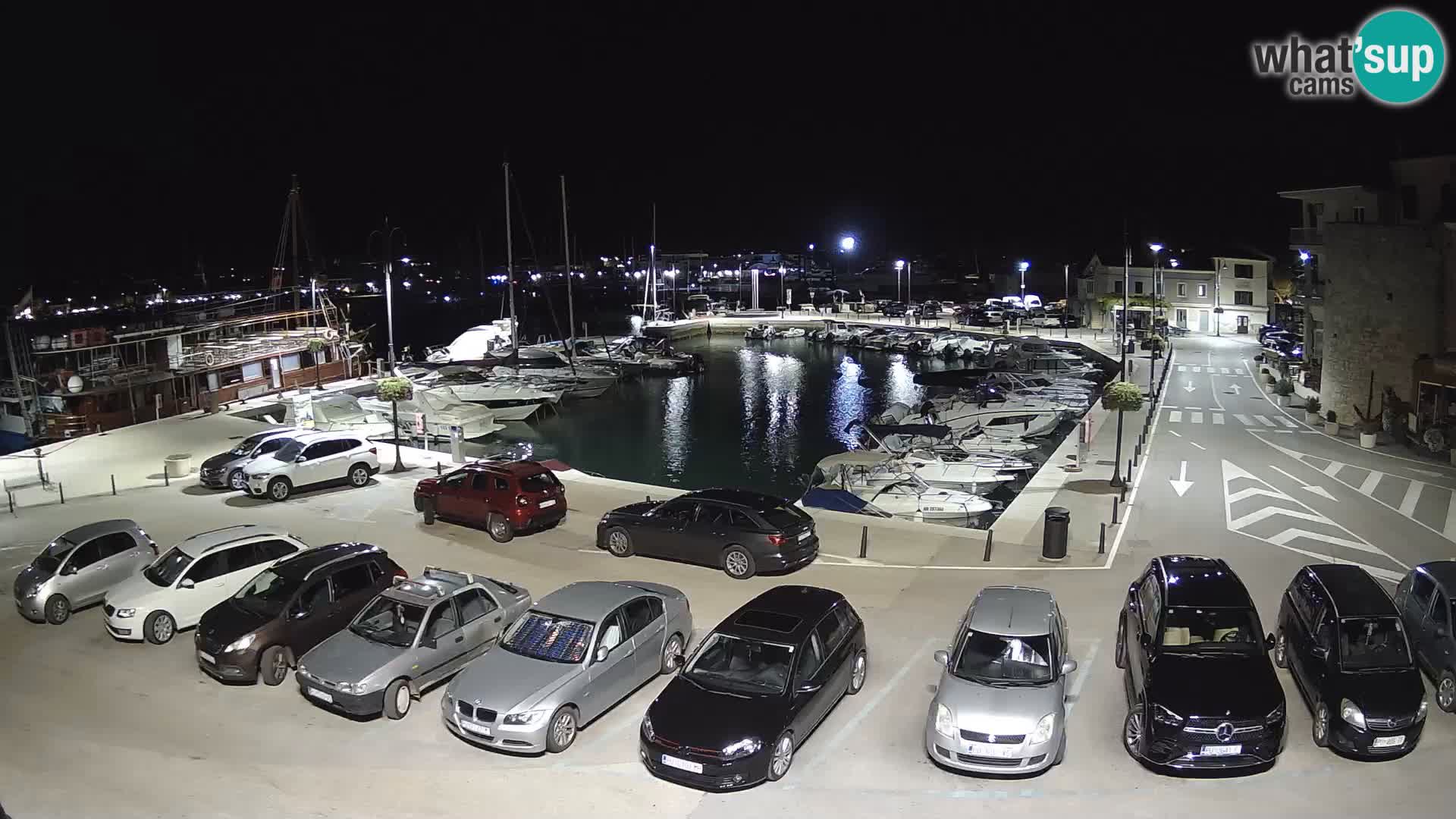 Novigrad | Porporela marina