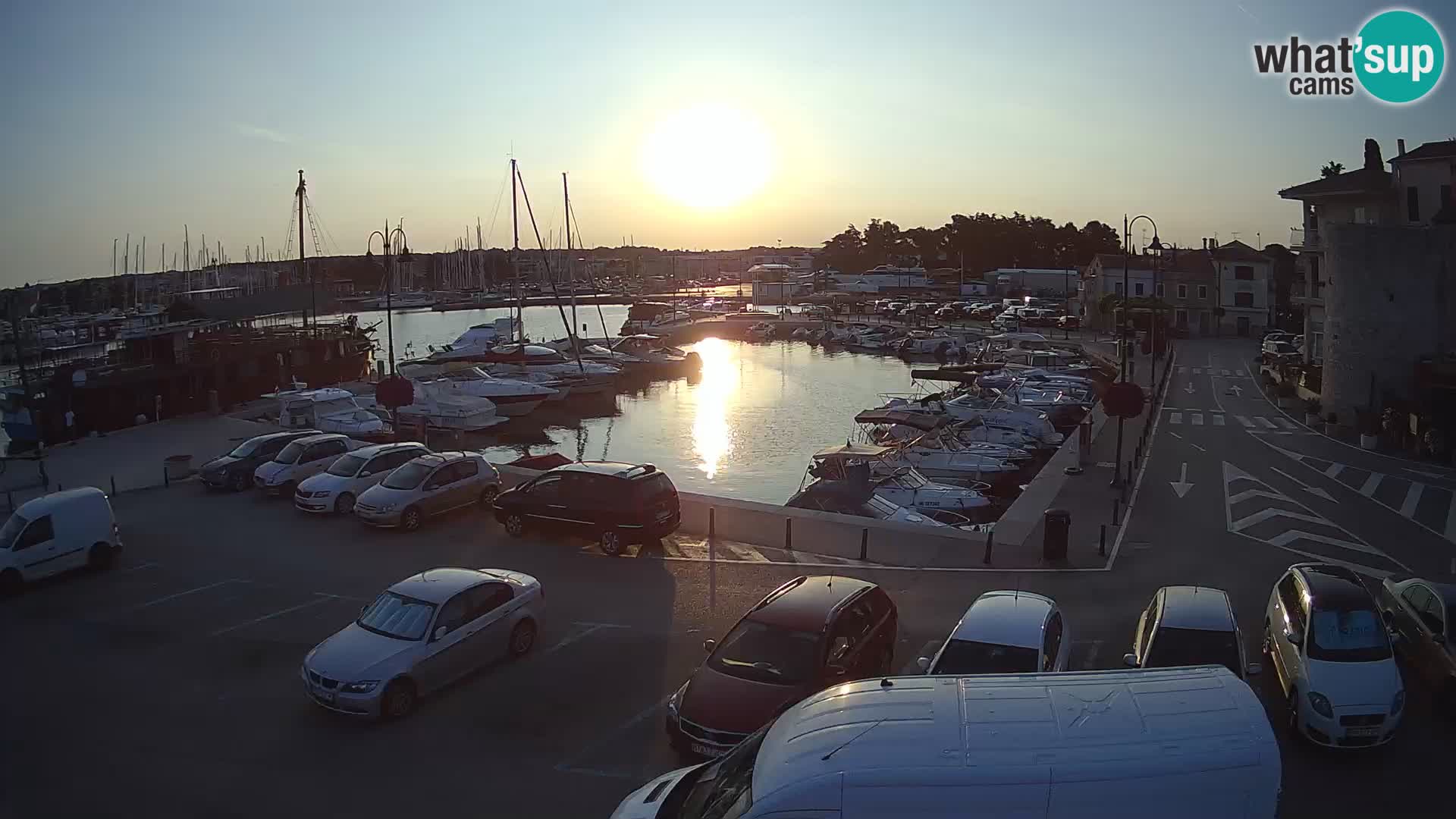 Novigrad | Porporela marina