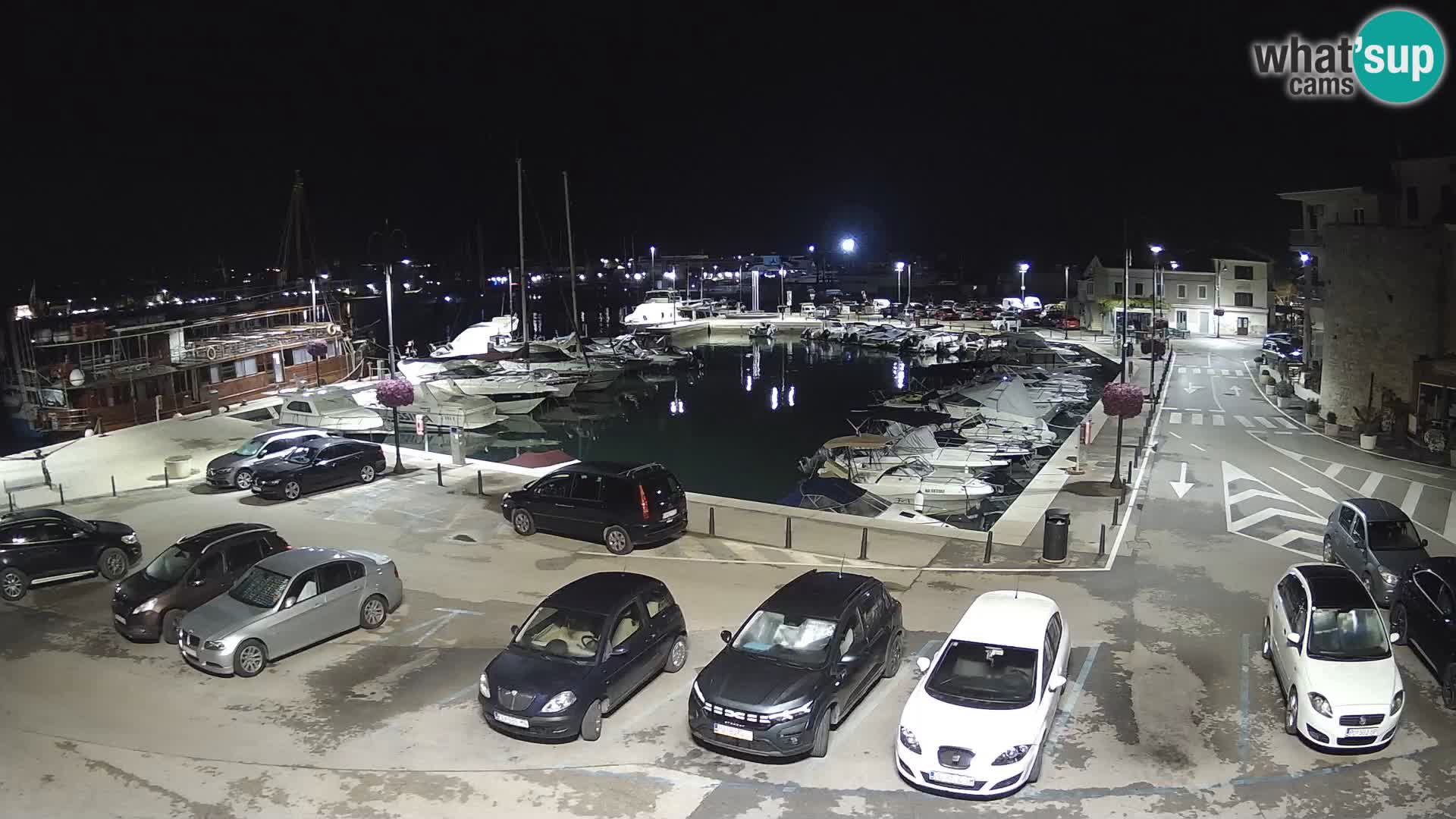 Novigrad | Porporela marina