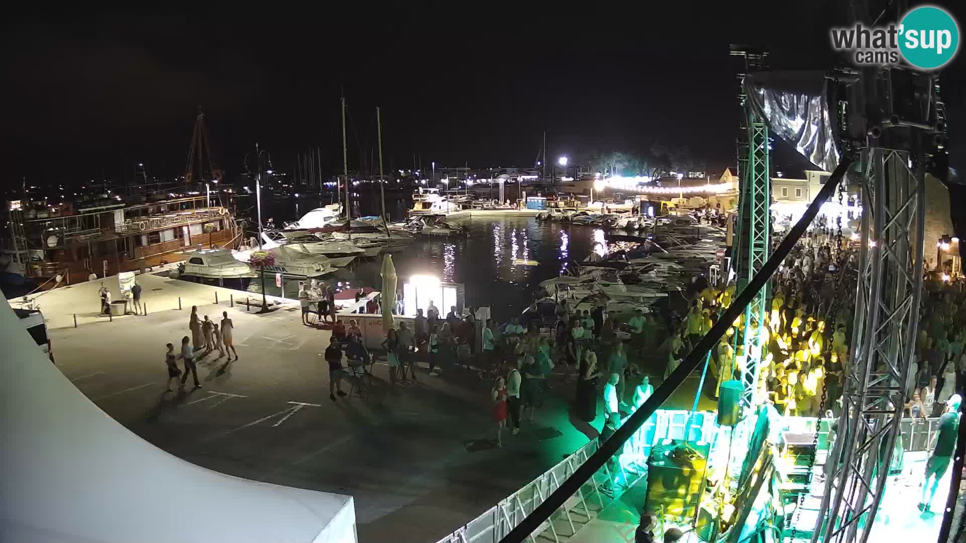 Novigrad | Porporela marina