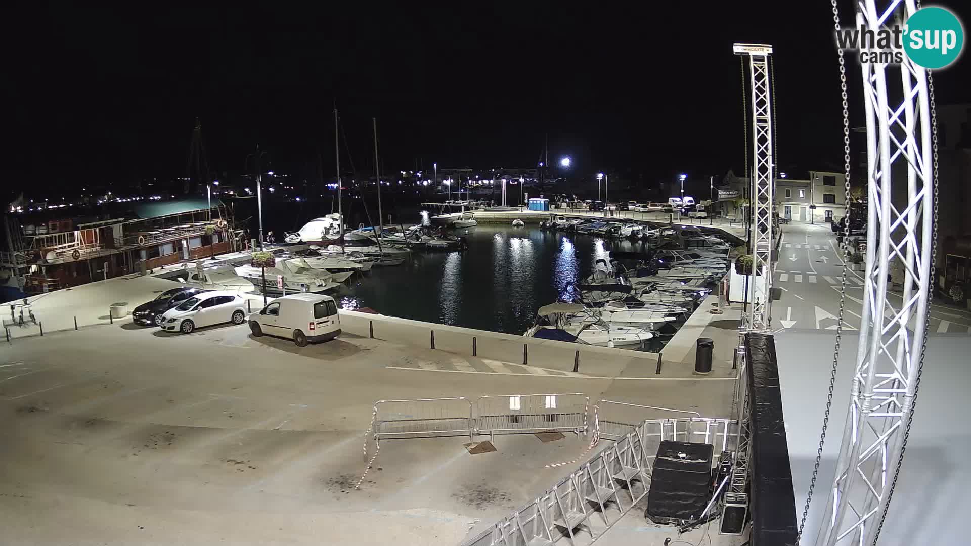Novigrad | Porporela marina