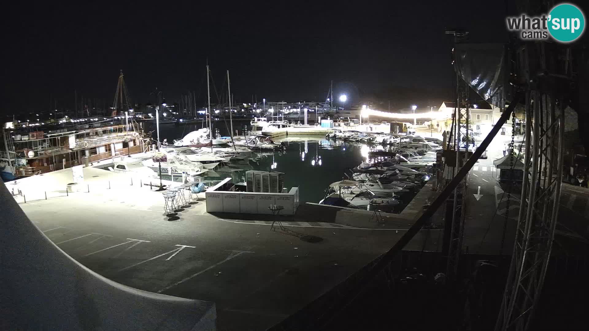 Novigrad | Porporela marina