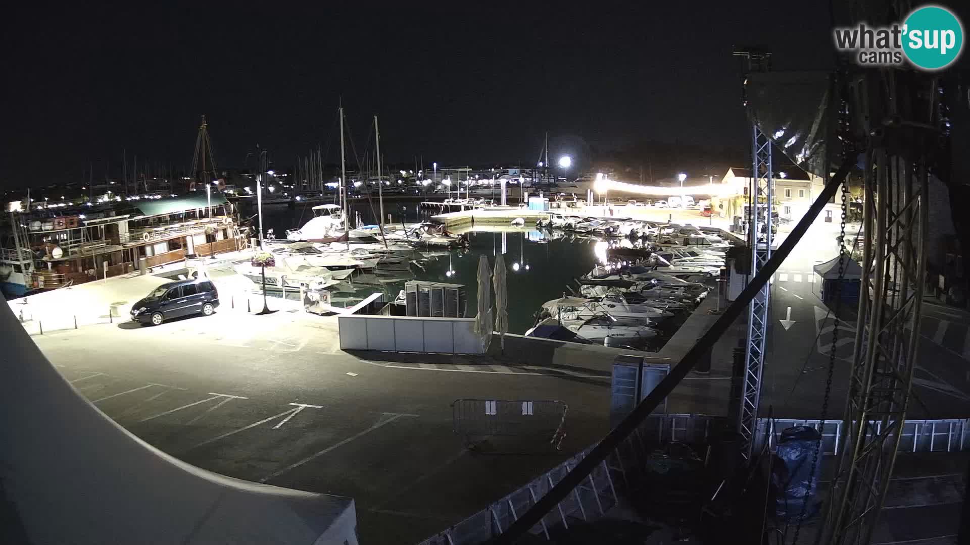 Novigrad | Porporela marina
