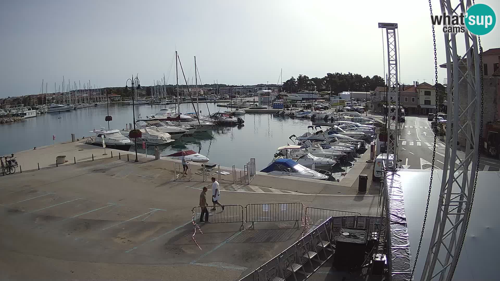 Novigrad | Porporela marina