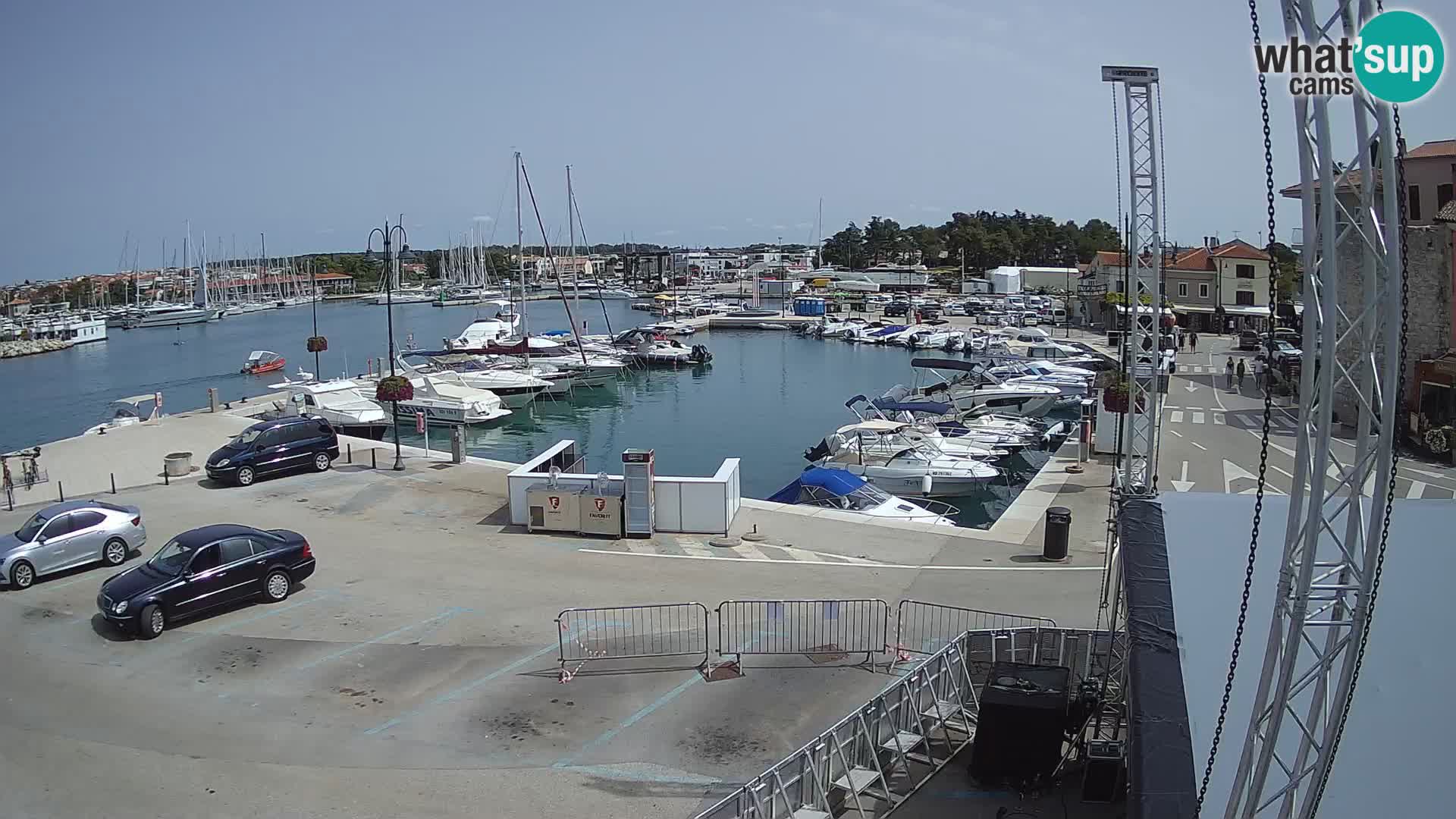 Novigrad | Porporela marina