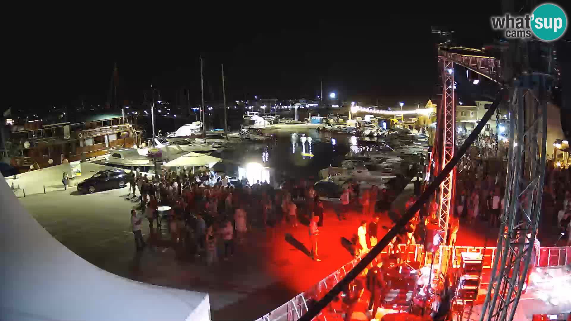 Novigrad | Porporela marina