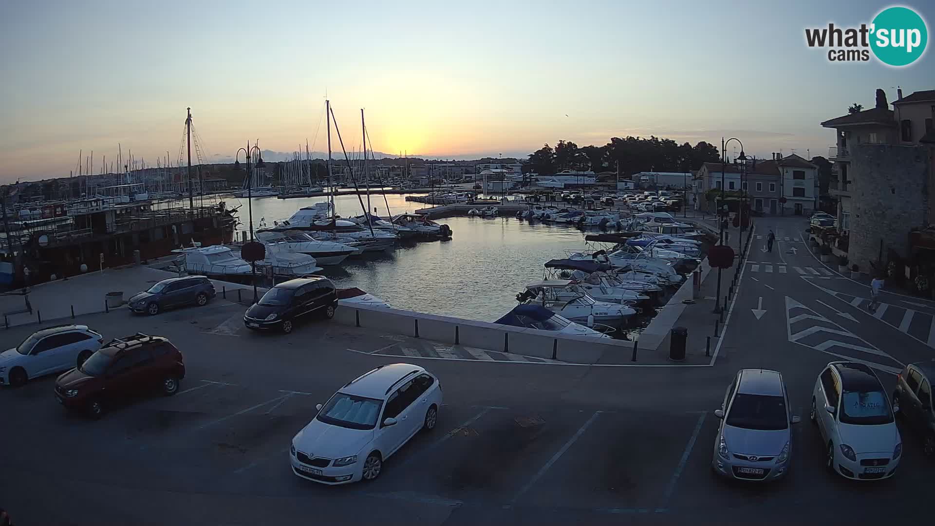 Novigrad | Porporela marina