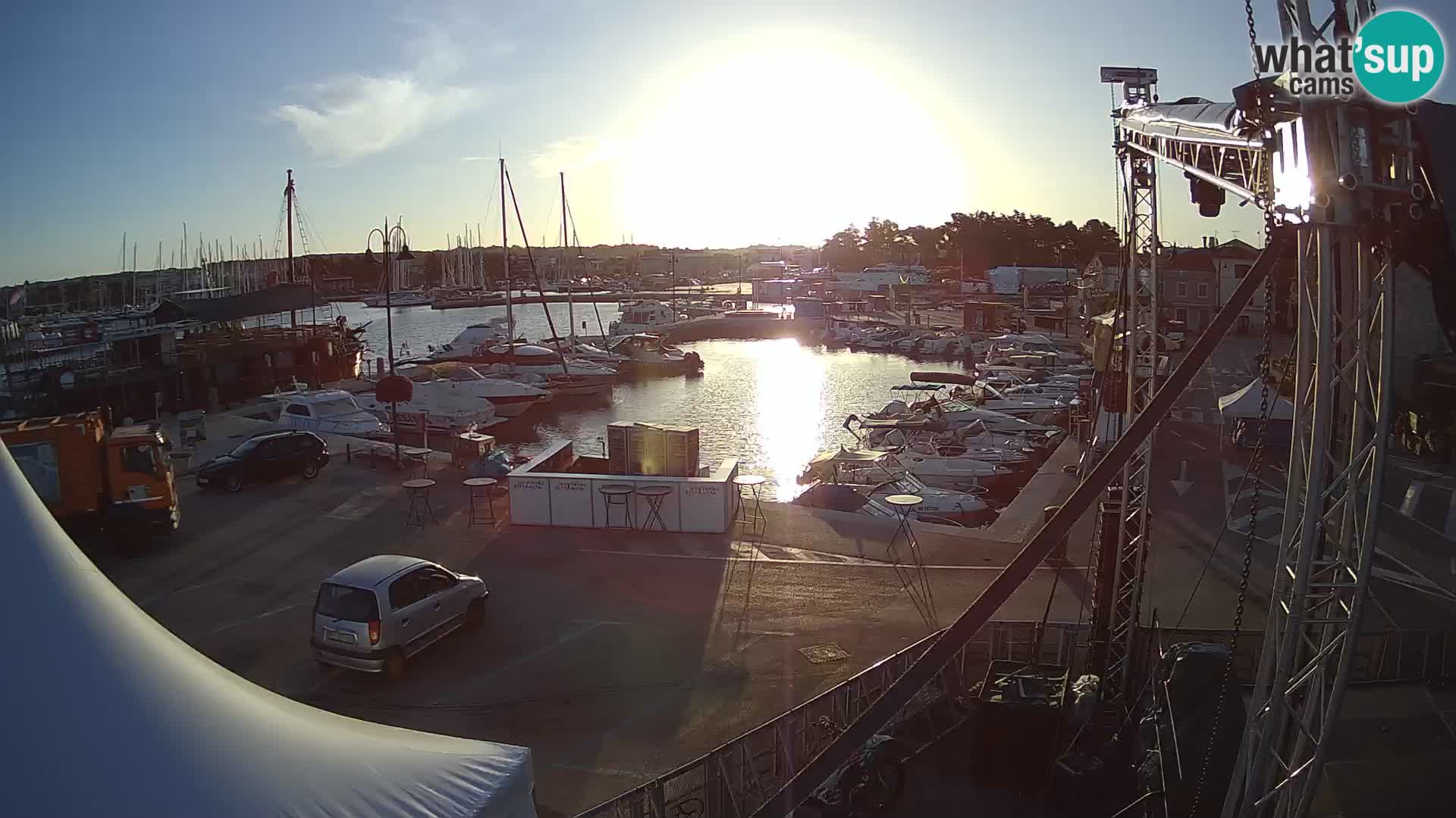 Novigrad | Porporela marina
