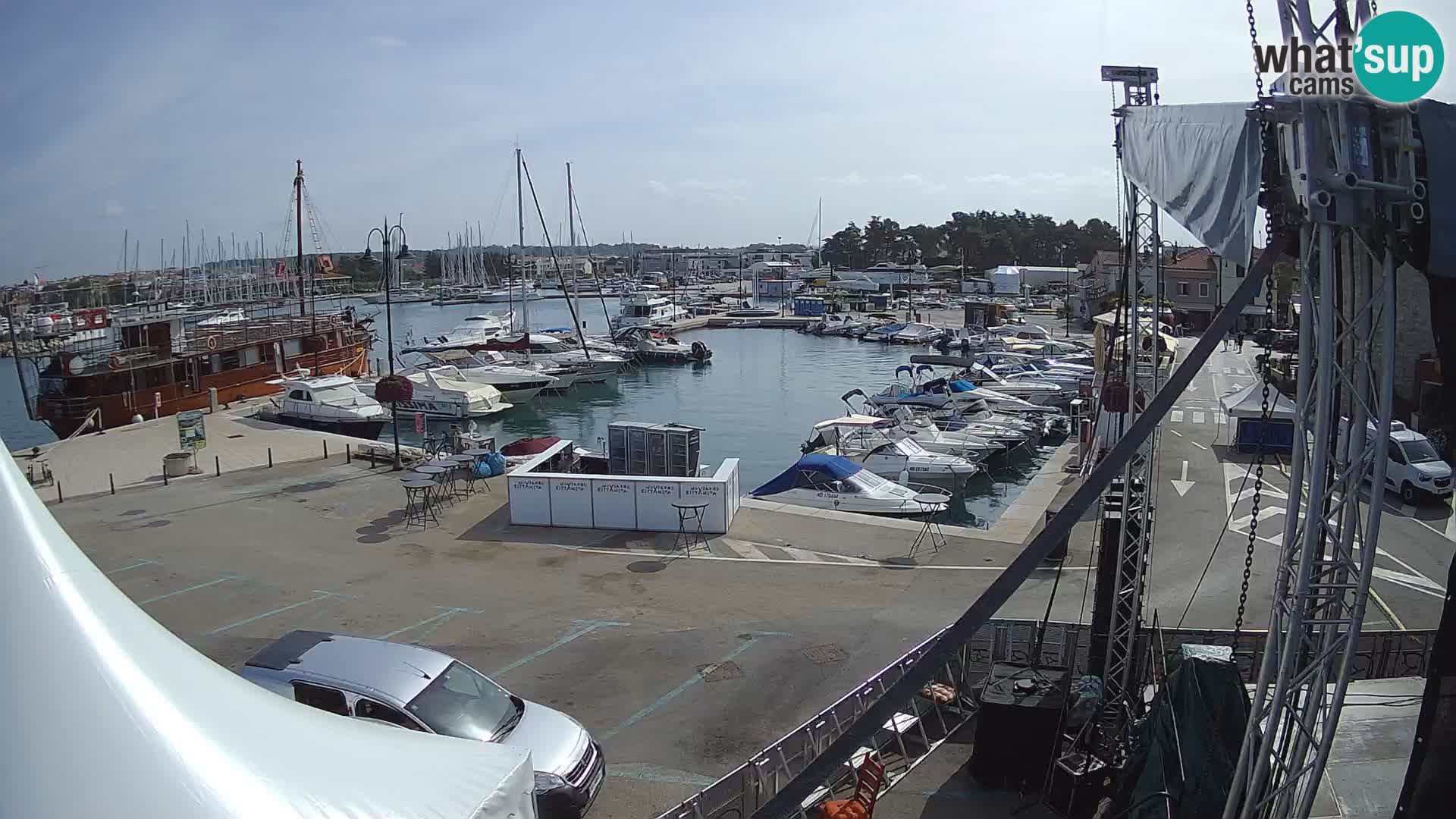 Novigrad | Porporela marina