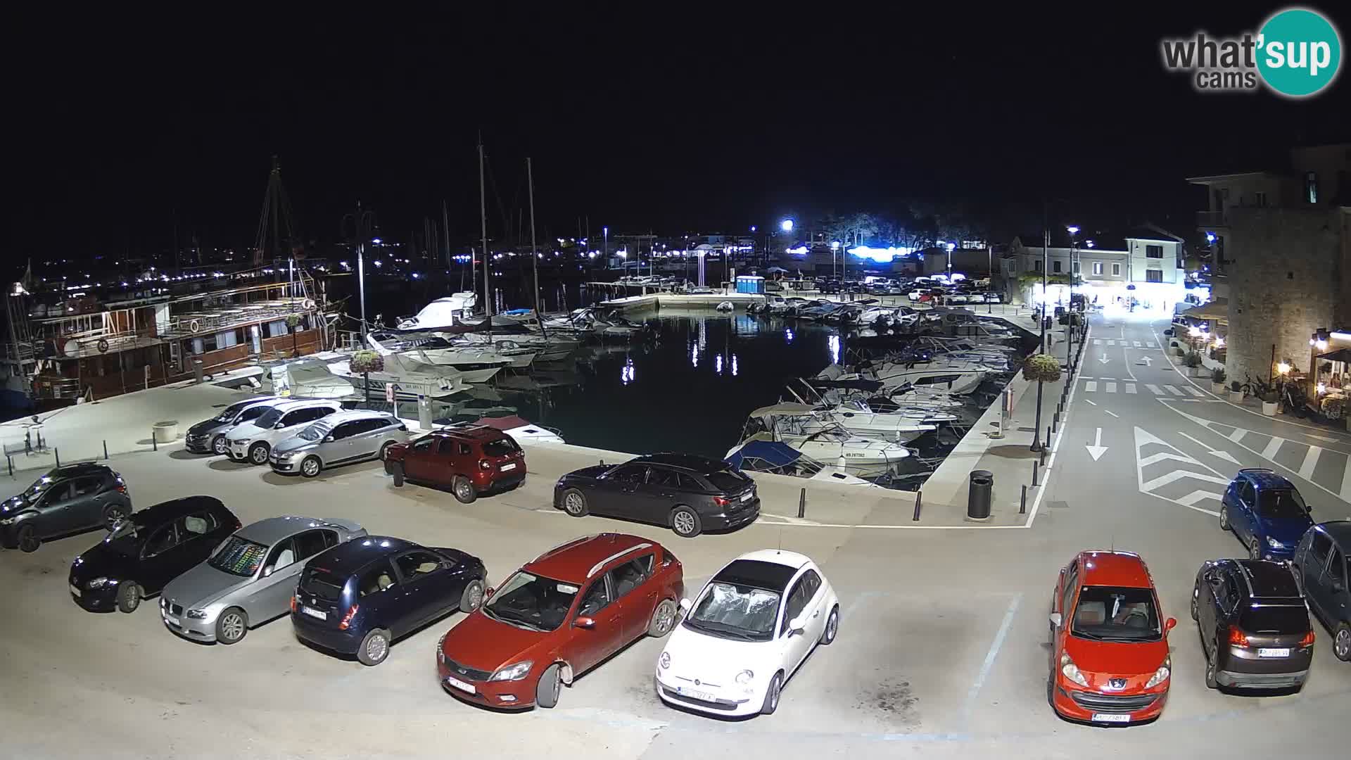 Novigrad | Porporela marina