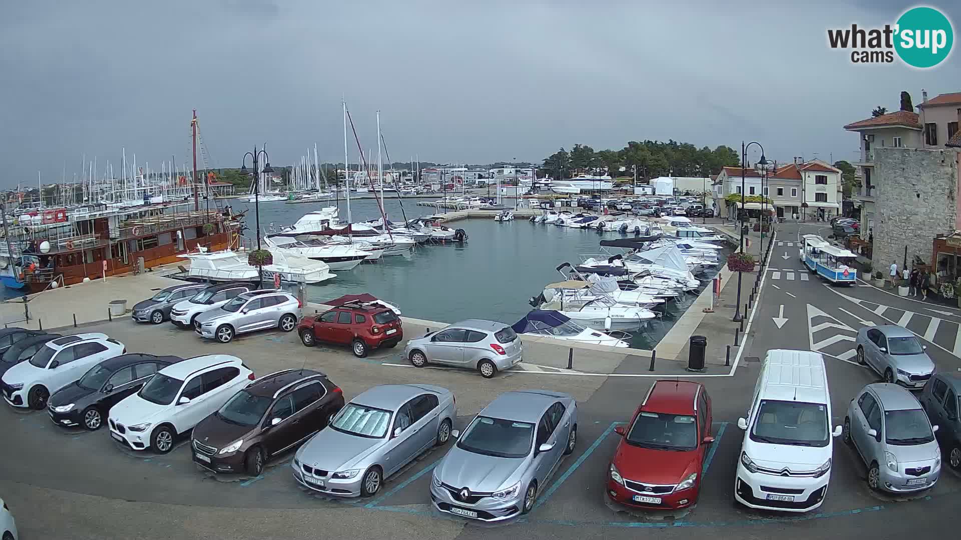 Novigrad | Porporela marina