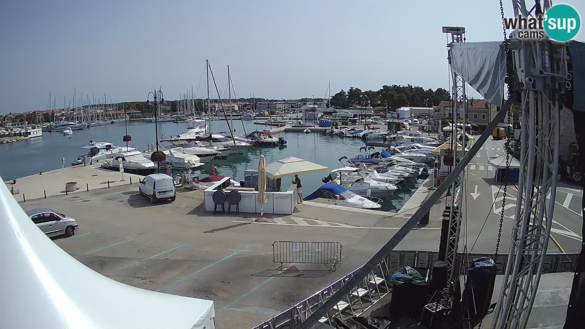 Novigrad | Porporela marina