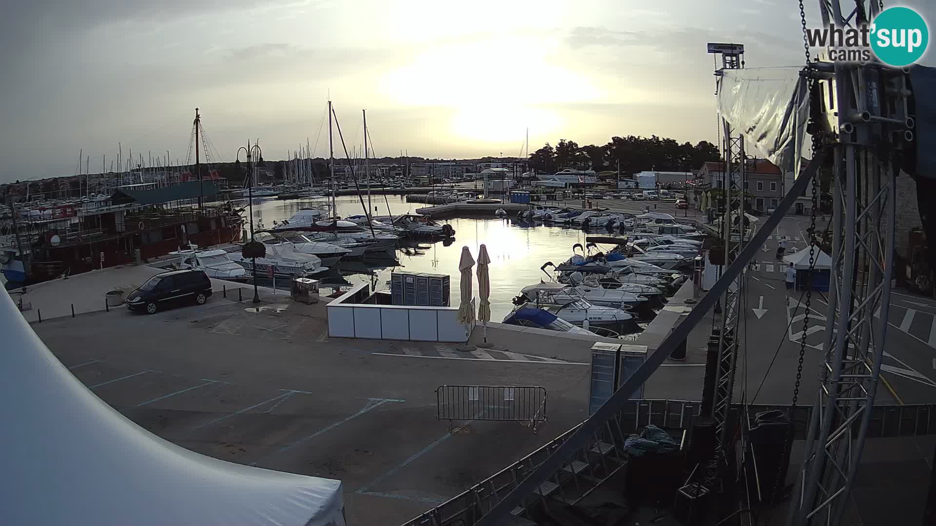 Novigrad | Porporela marina