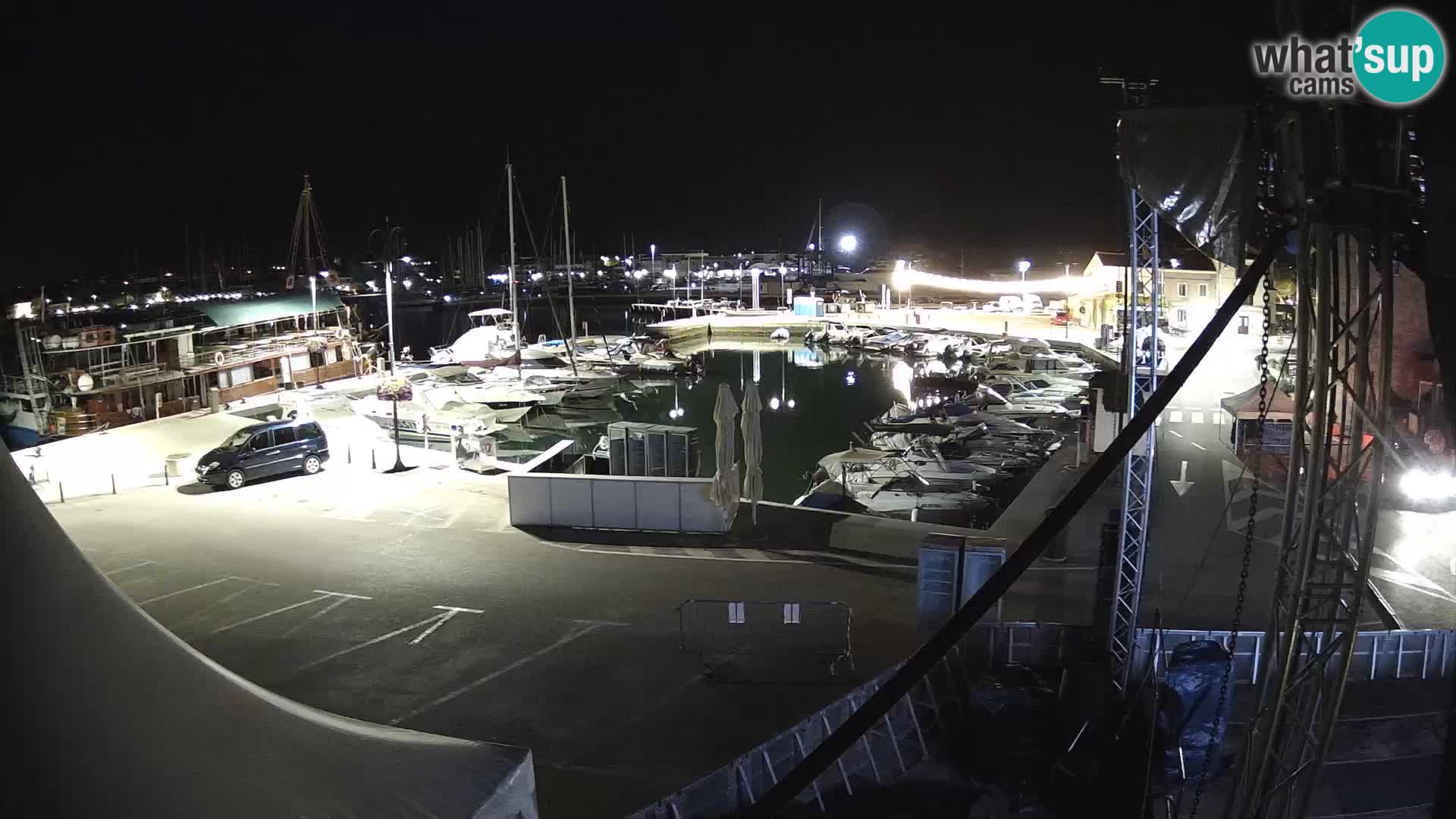 Novigrad | Porporela marina