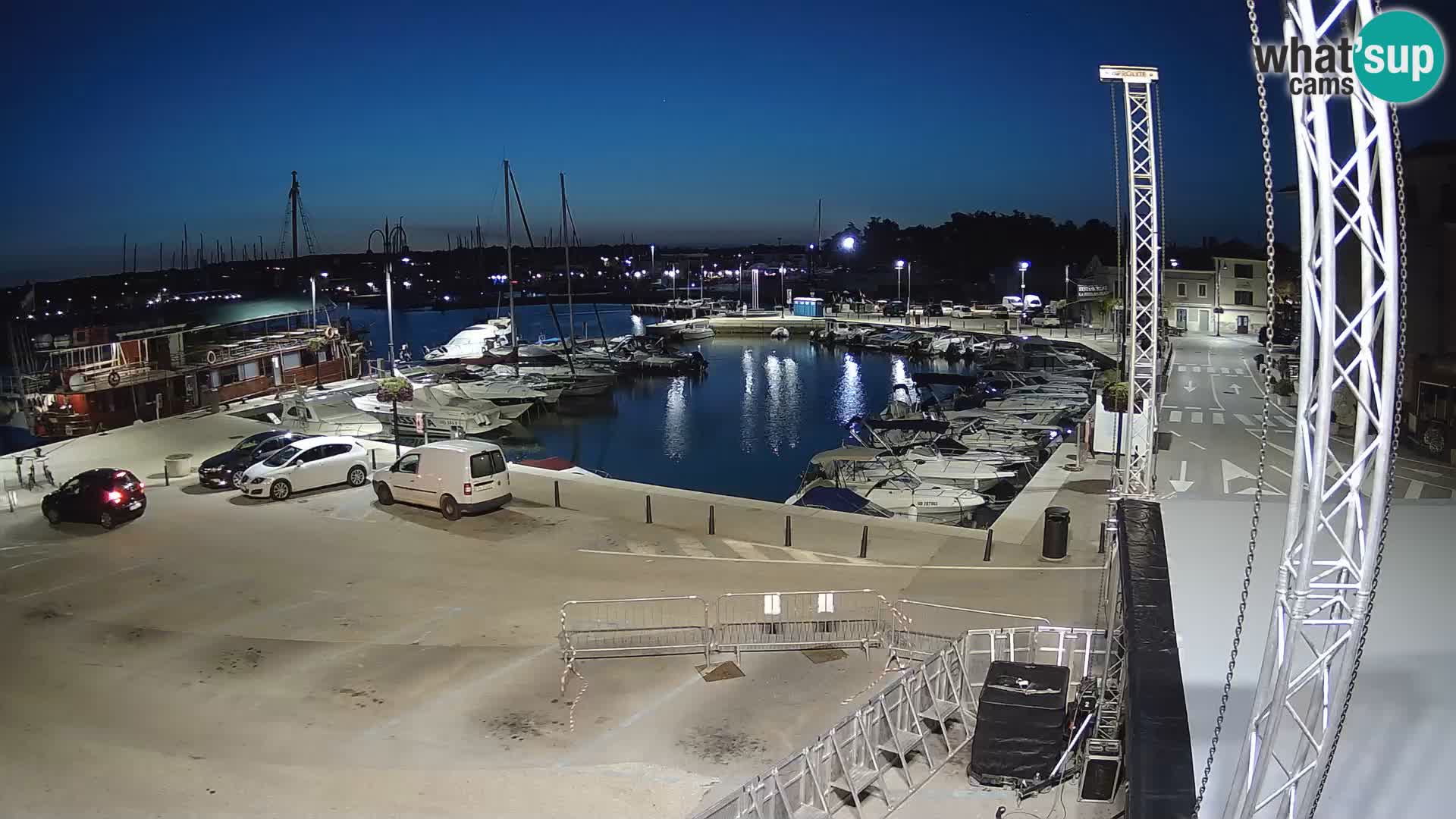 Novigrad | Porporela marina
