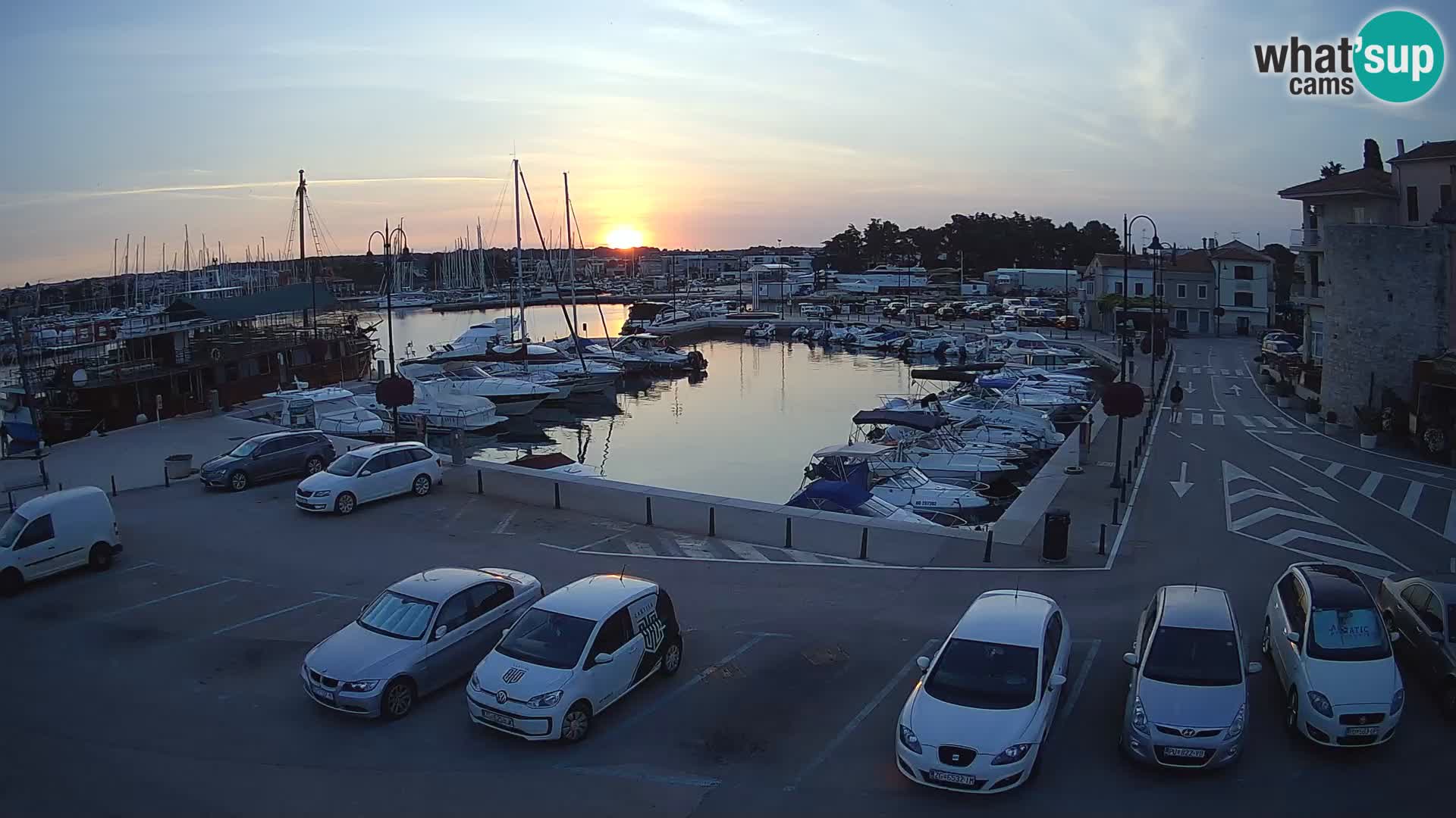 Novigrad | Porporela marina