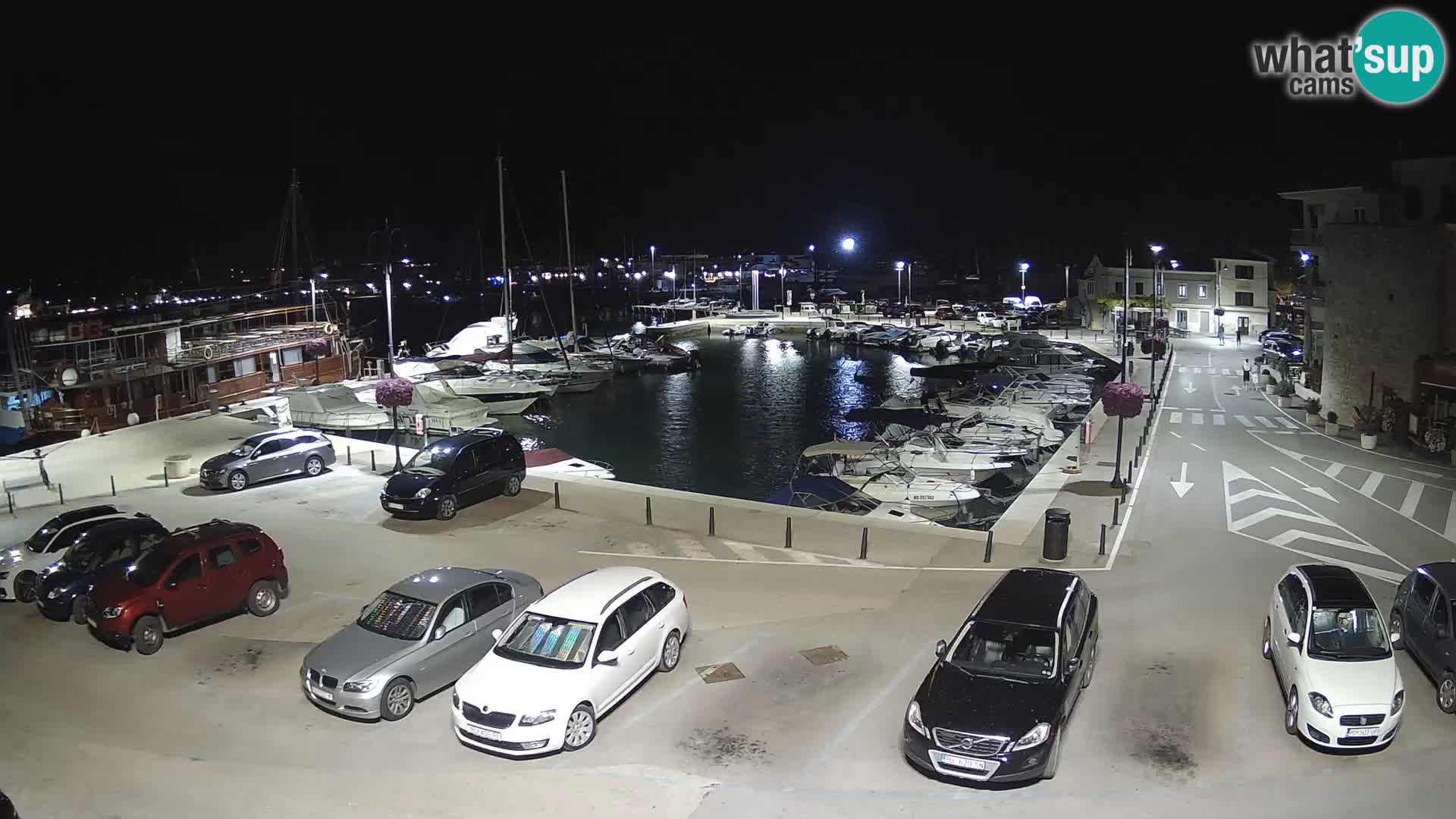 Novigrad | Porporela marina