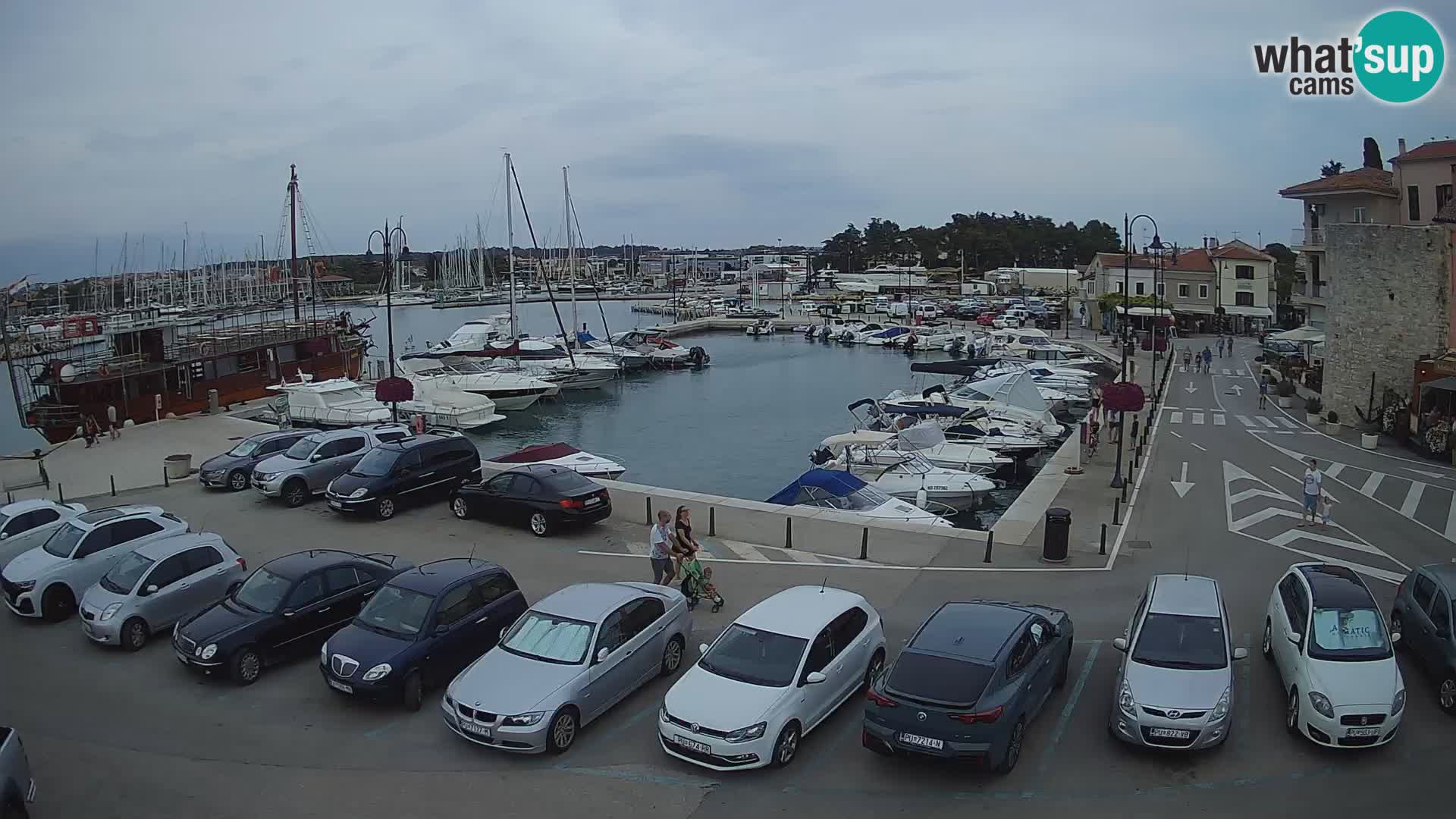 Novigrad | Porporela marina