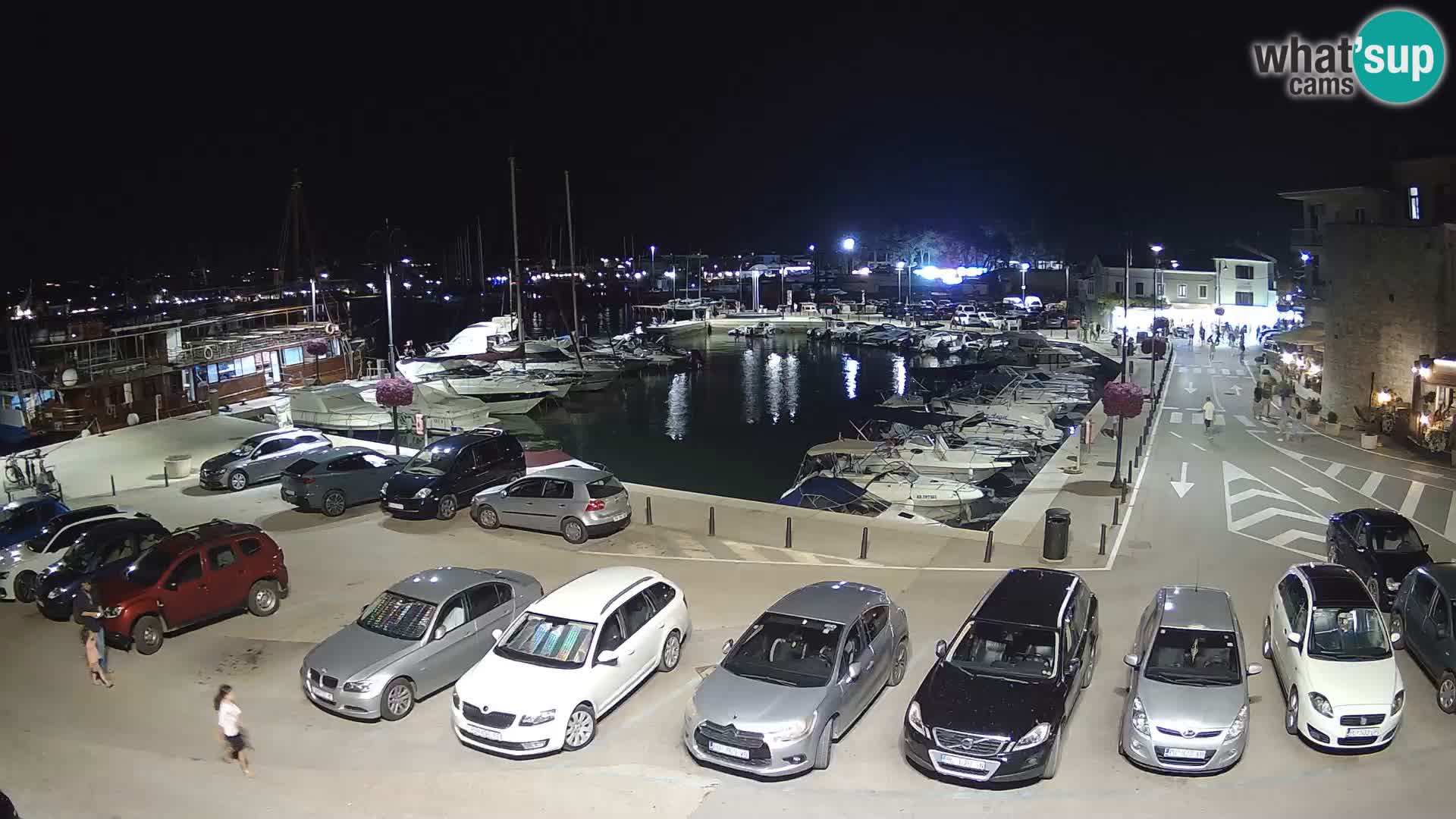 Novigrad | Porporela marina
