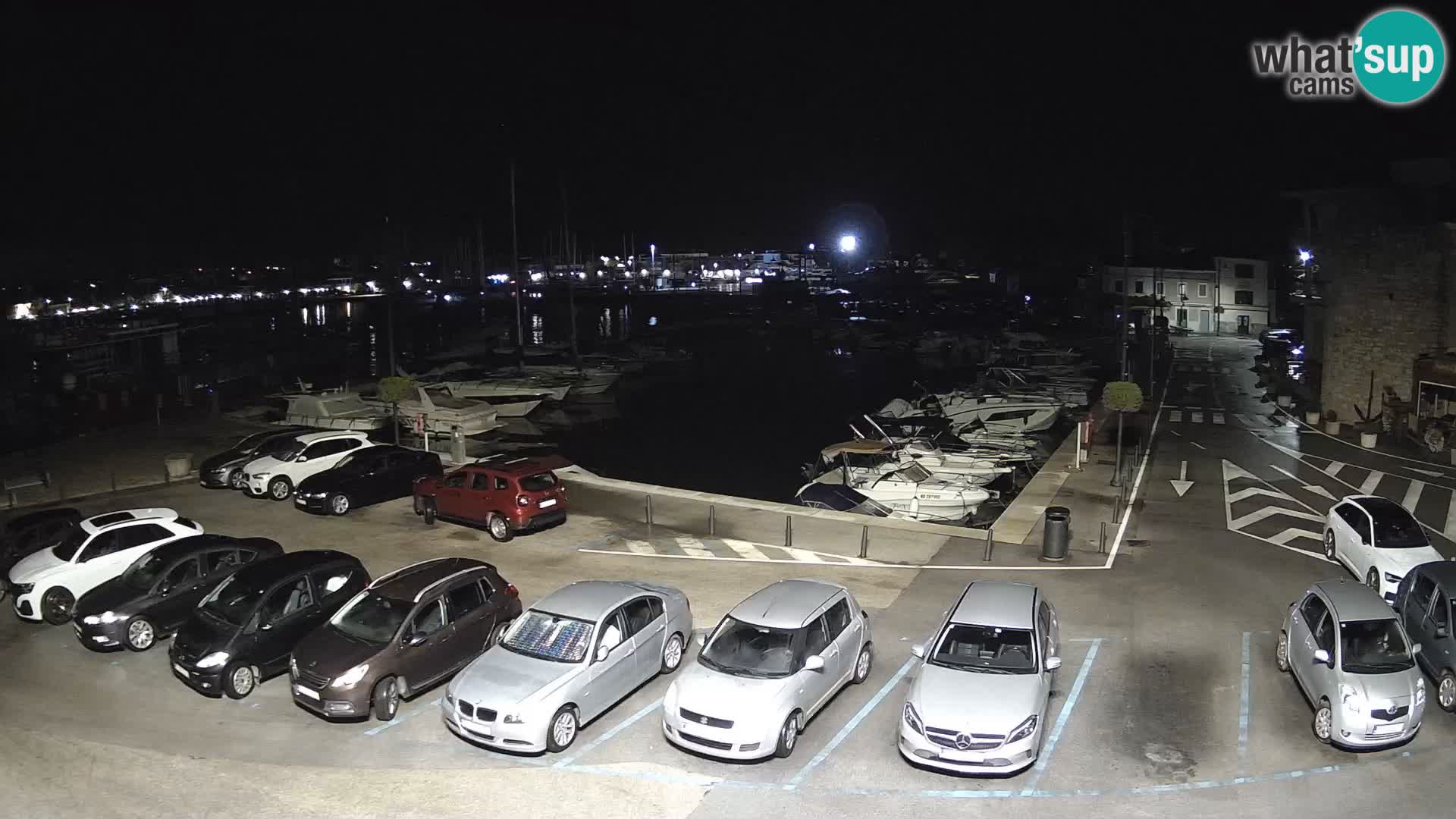 Novigrad | Porporela marina