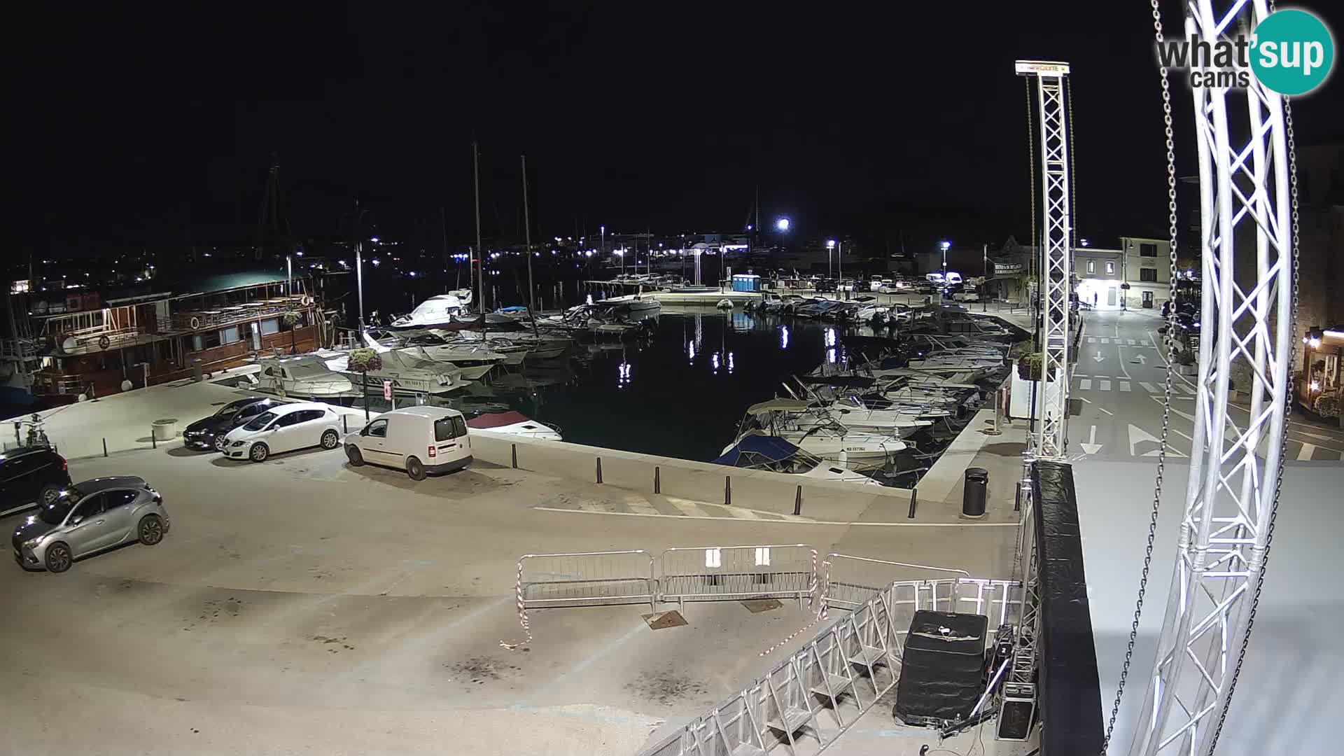 Novigrad | Porporela marina
