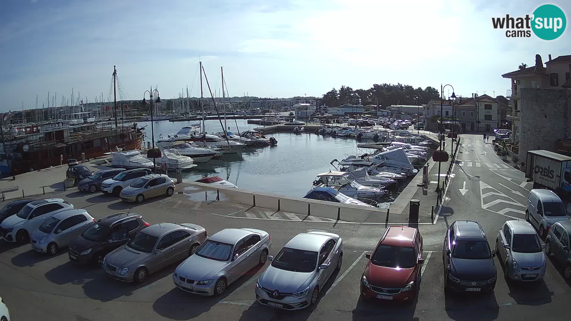 Novigrad | Porporela marina