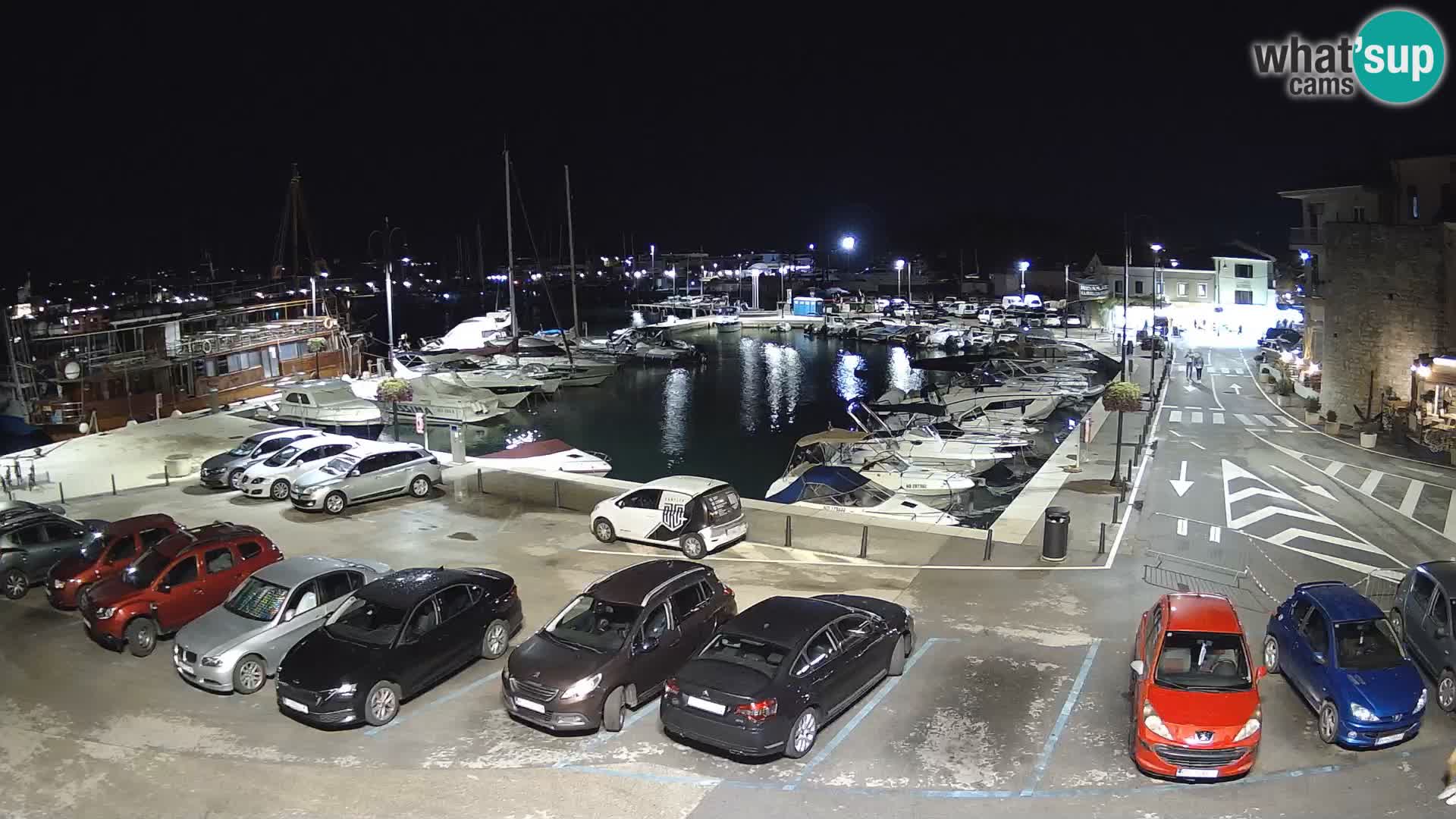 Novigrad | Porporela marina