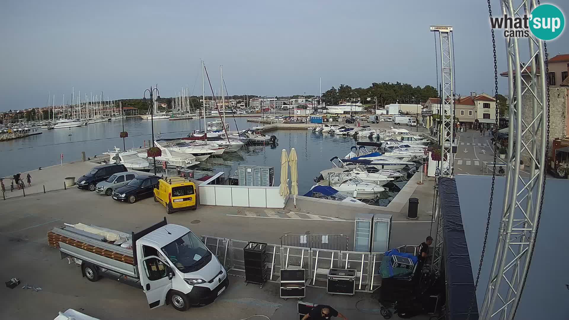 Novigrad | Porporela marina