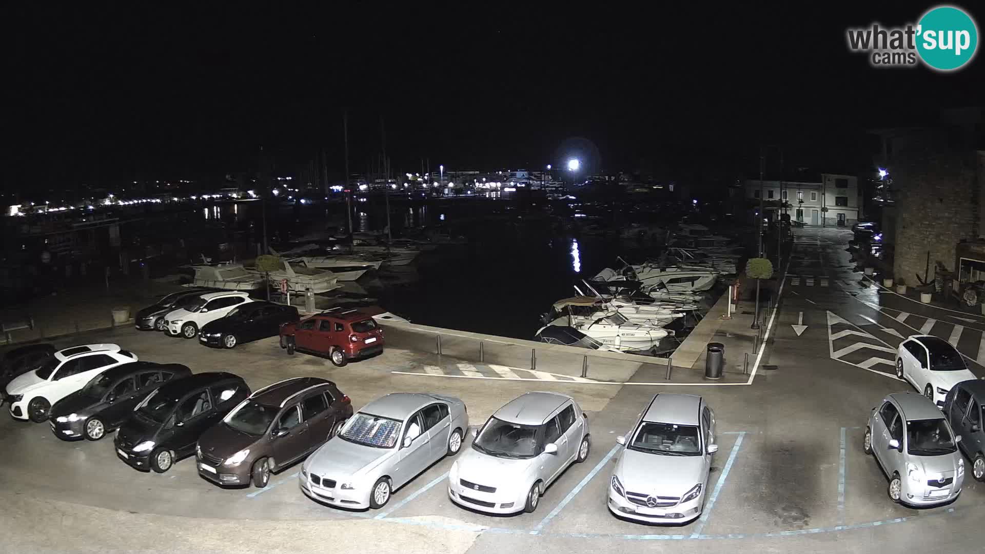 Novigrad | Porporela marina