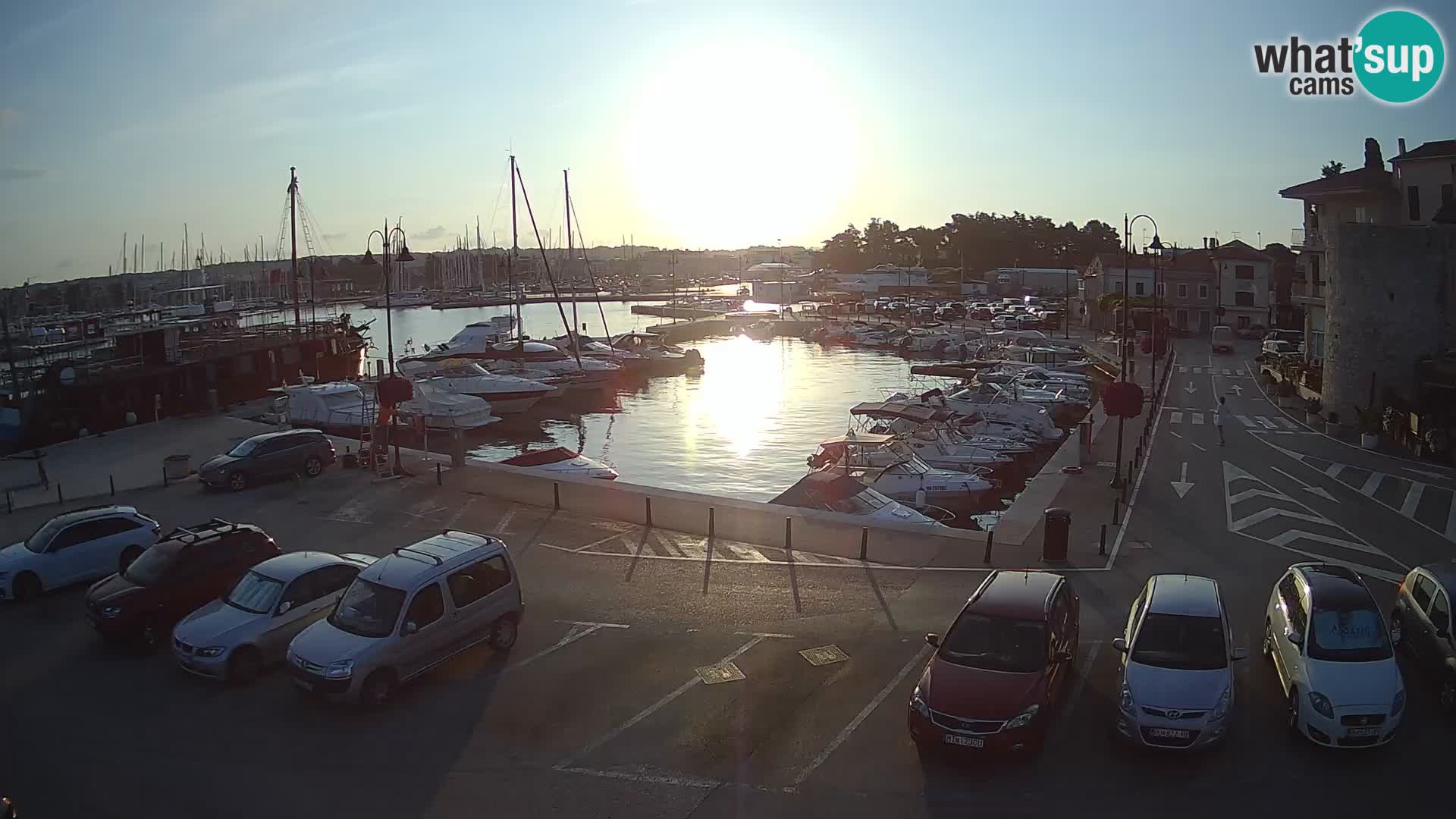 Novigrad | Porporela marina
