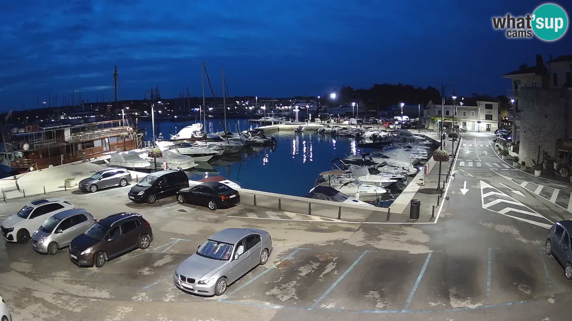 Novigrad | Porporela marina