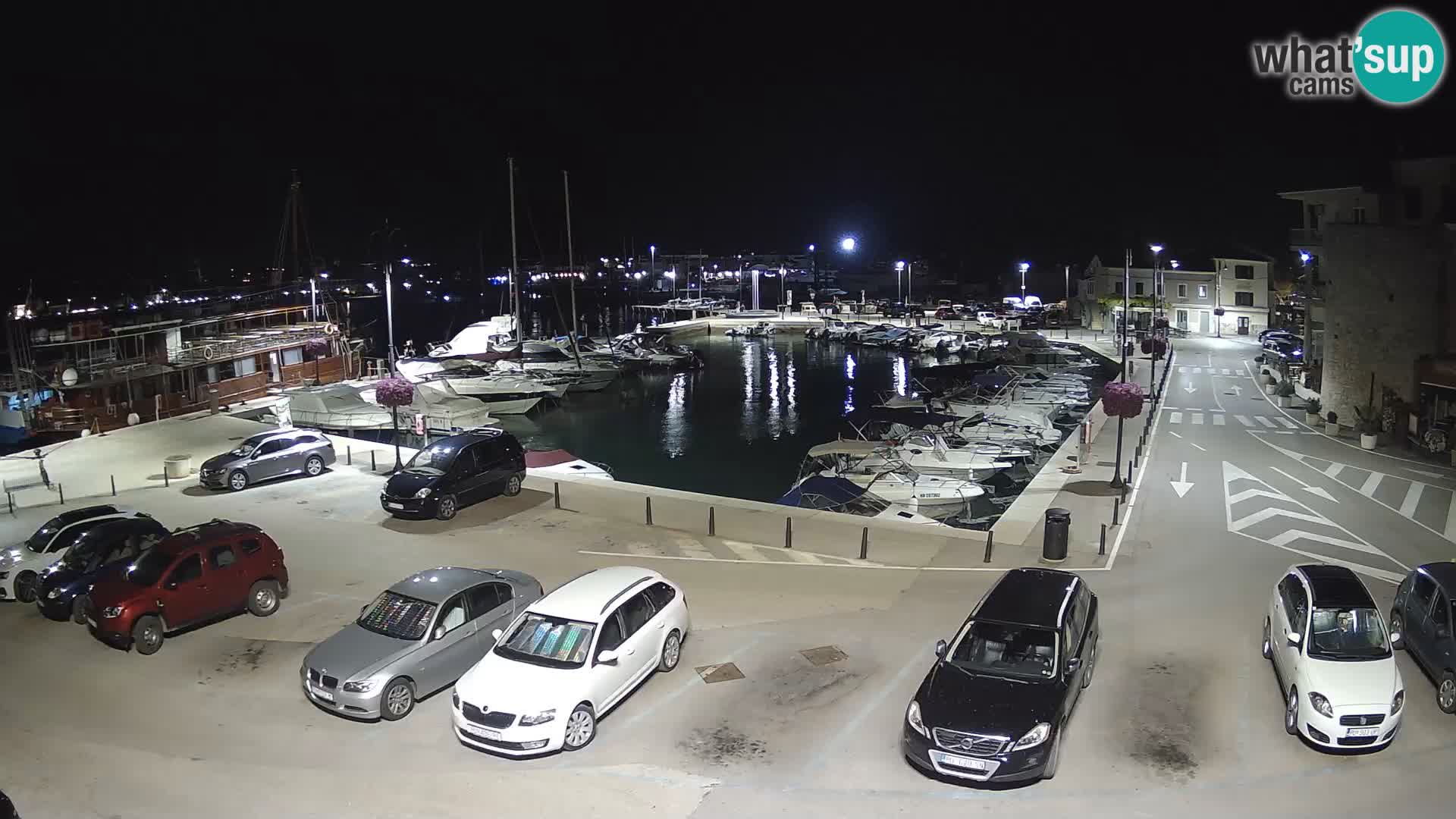 Novigrad | Porporela marina
