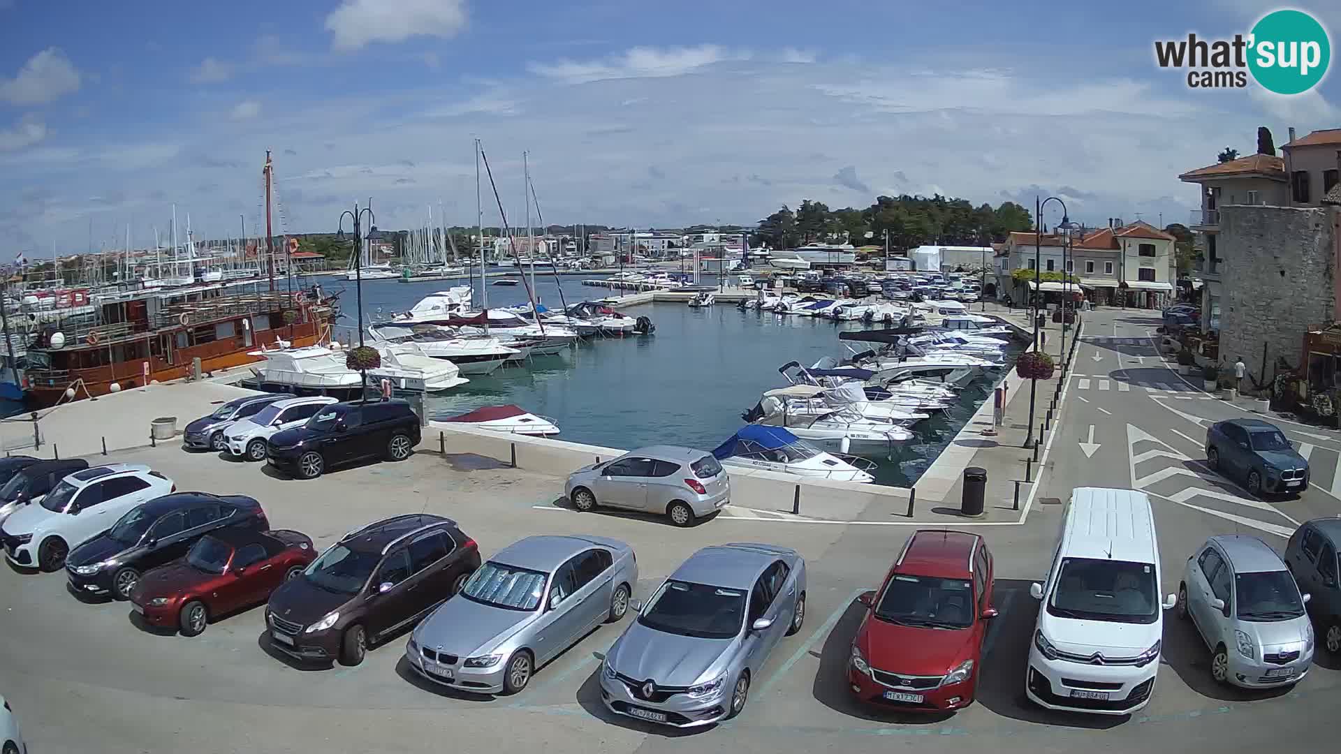 Novigrad | Porporela marina