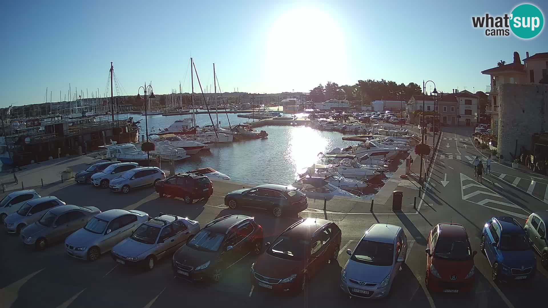 Novigrad | Porporela marina