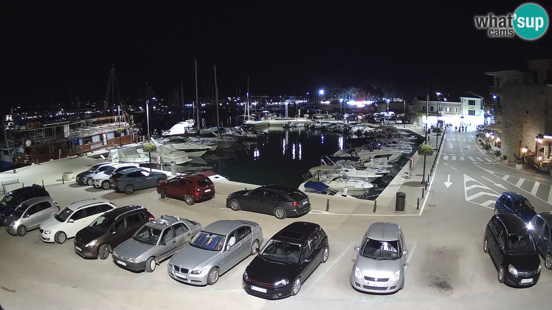 Novigrad | Porporela marina