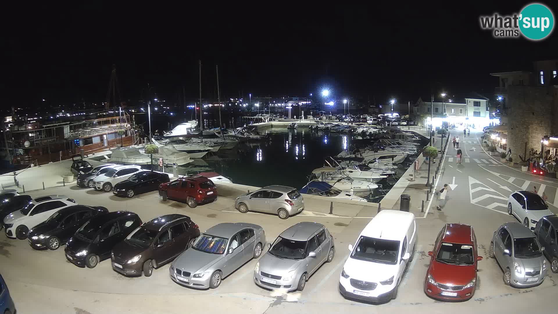 Novigrad | Porporela marina