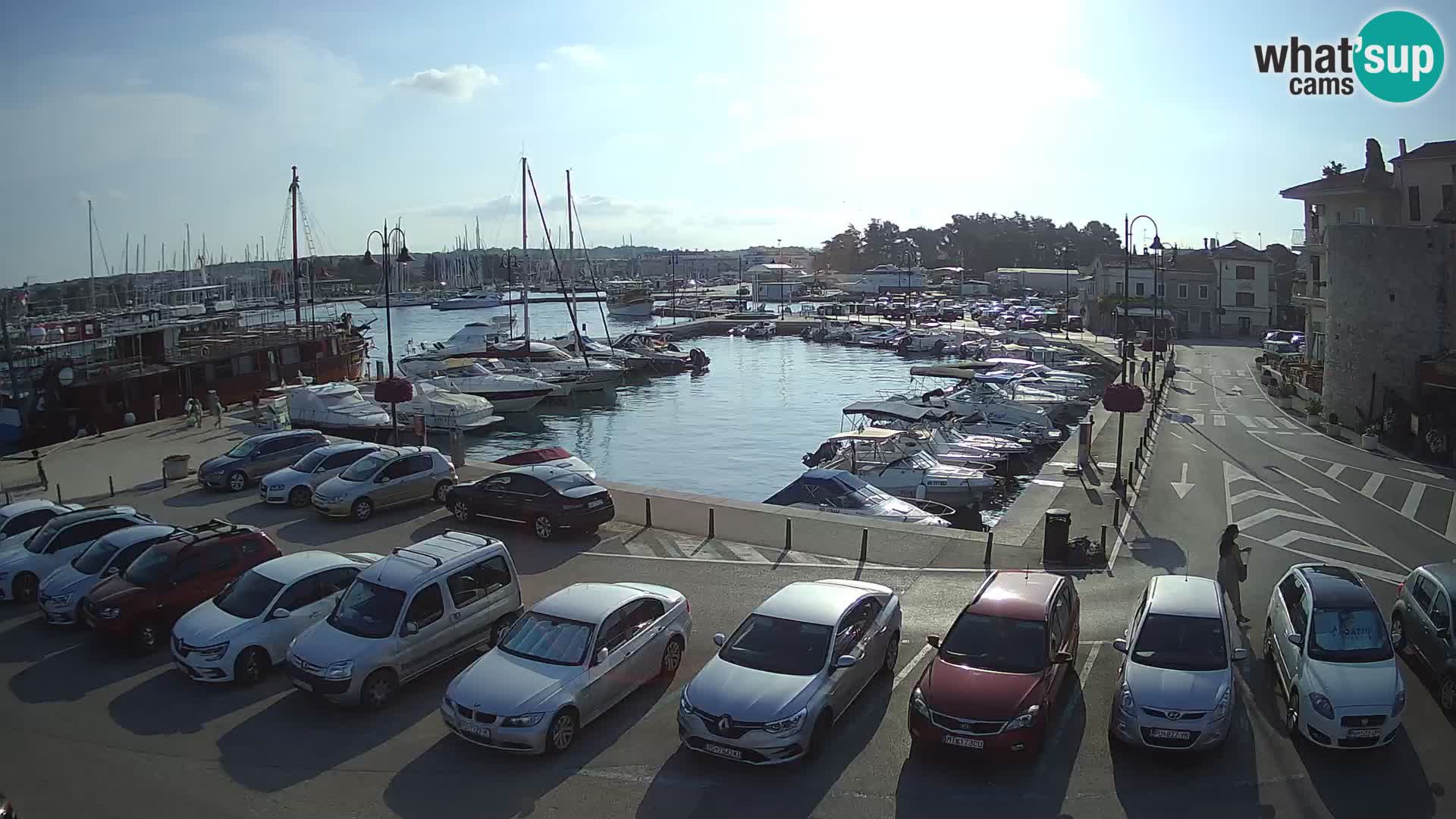 Novigrad | Porporela marina