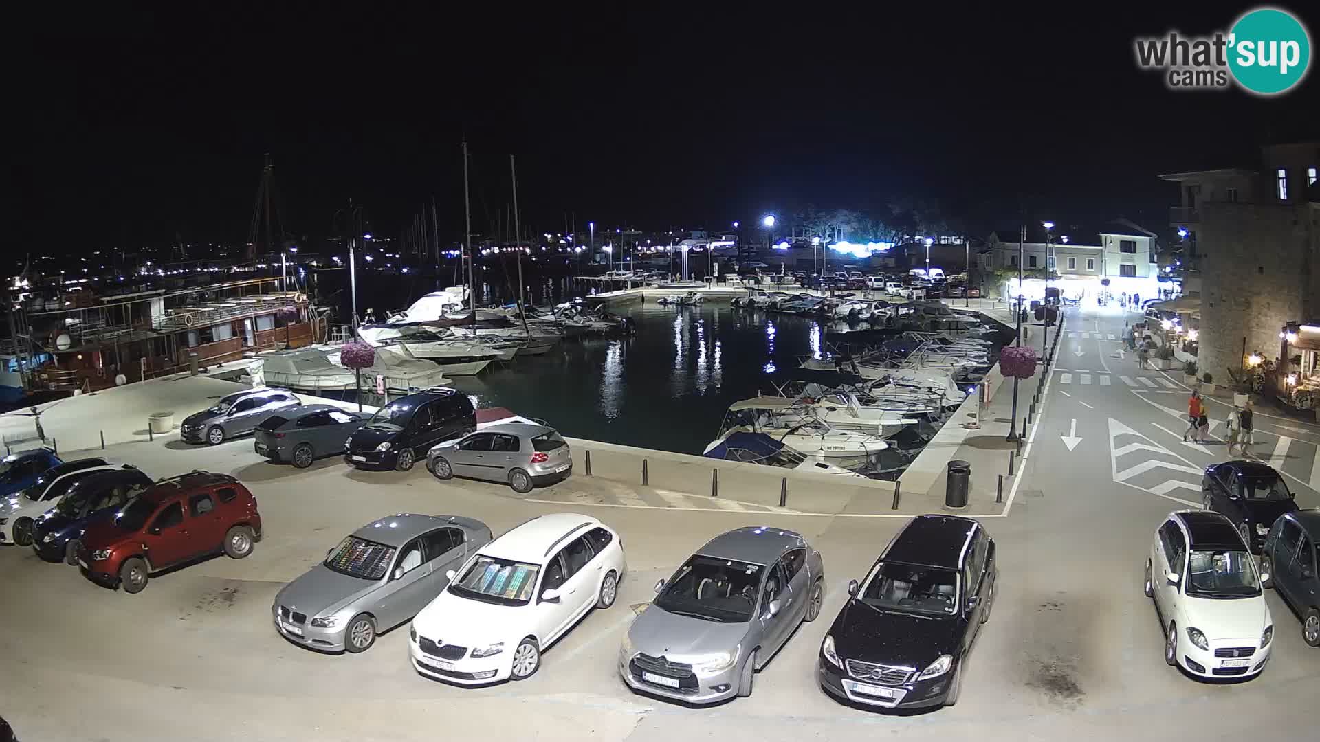 Novigrad | Porporela marina