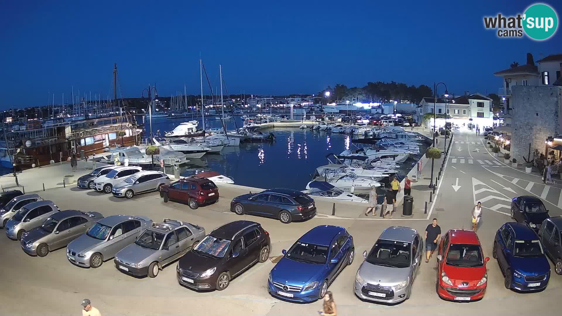 Novigrad | Porporela marina