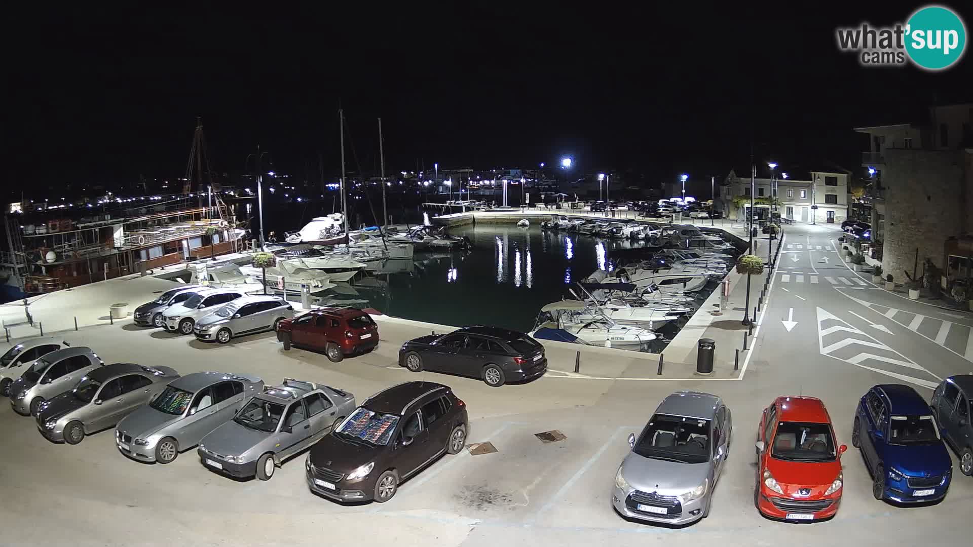 Novigrad | Porporela marina