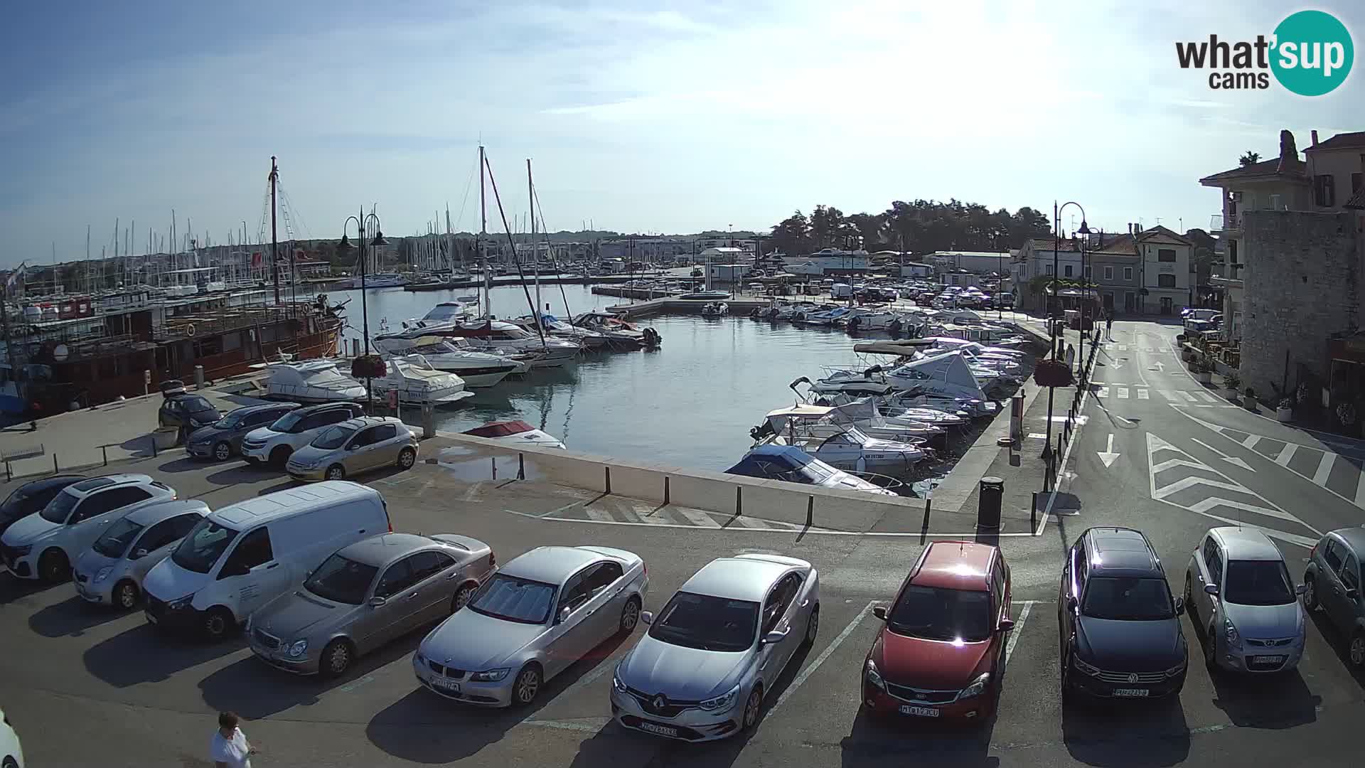Novigrad | Porporela marina