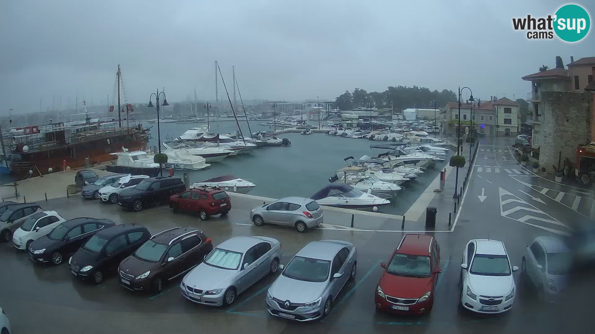 Novigrad | Porporela marina