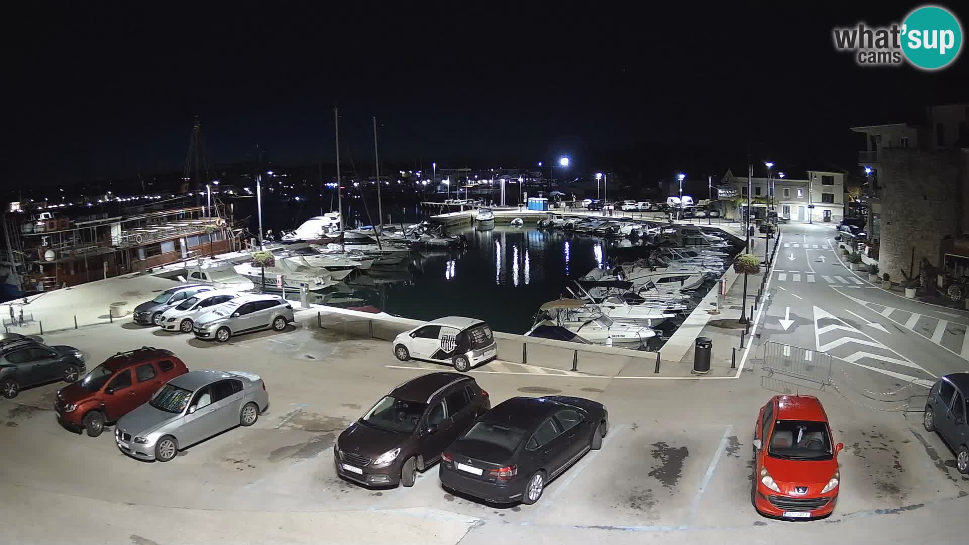 Novigrad | Porporela marina